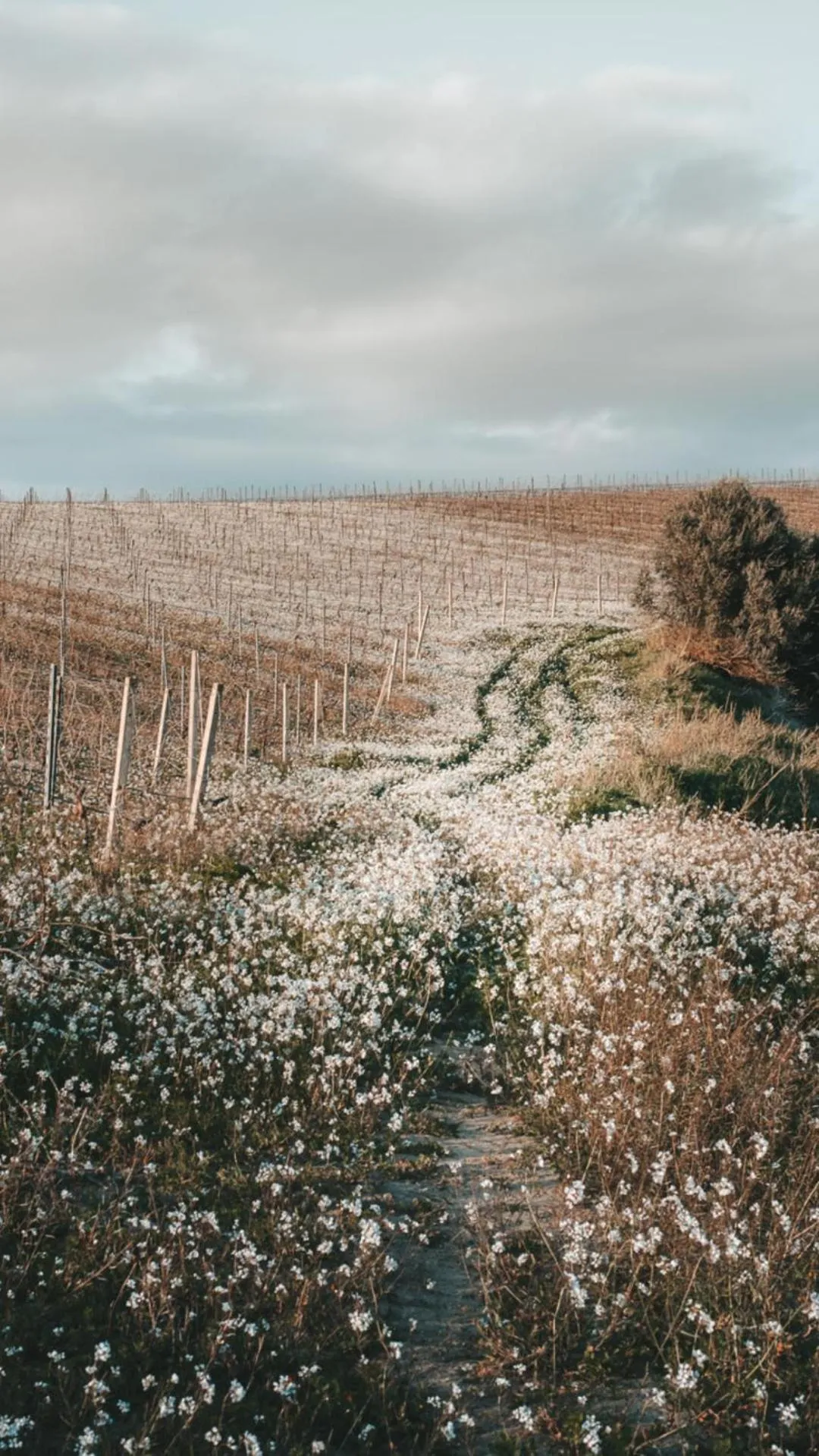 Property building in Colle San Mauro