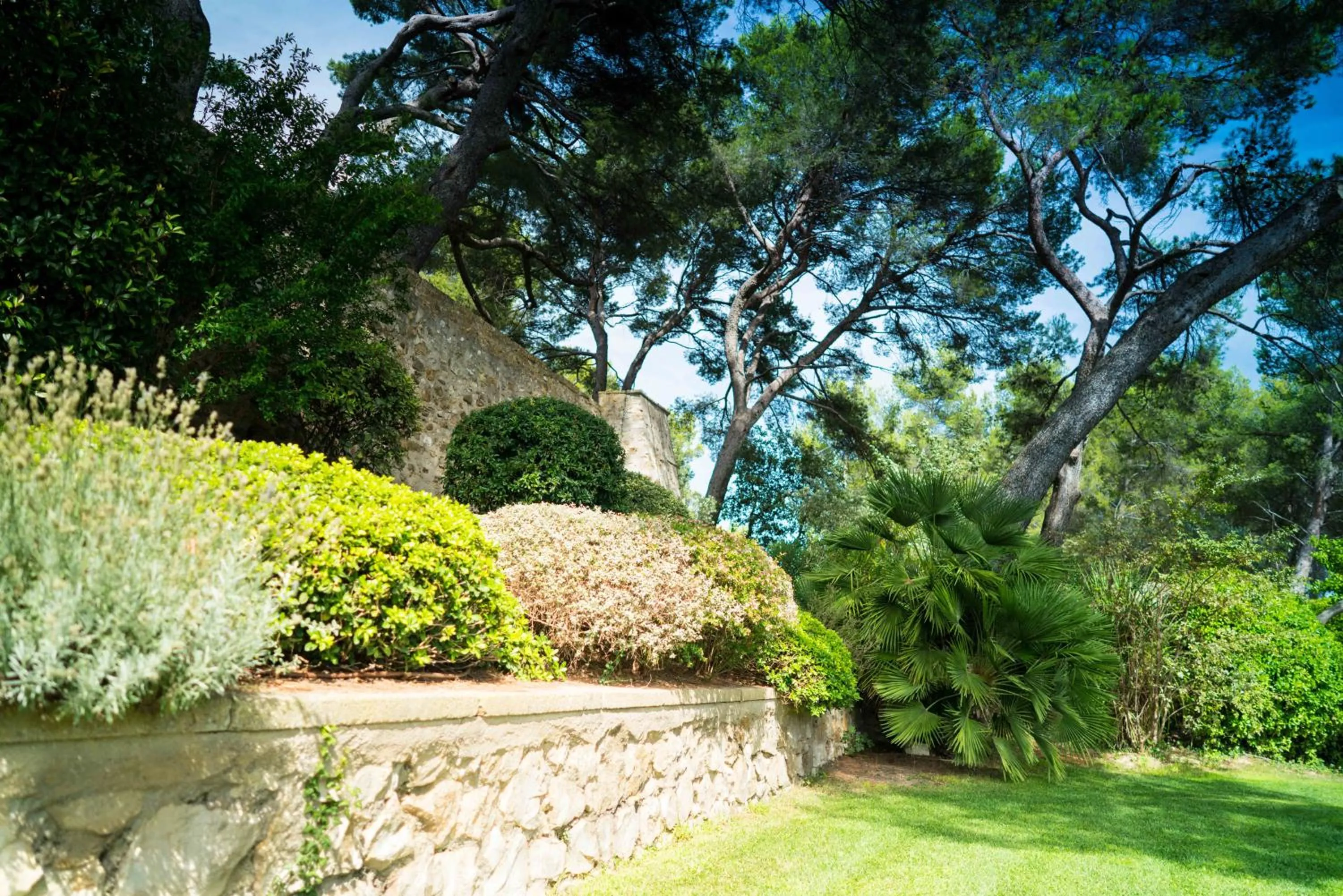 Garden in Domaine de Saint Clair