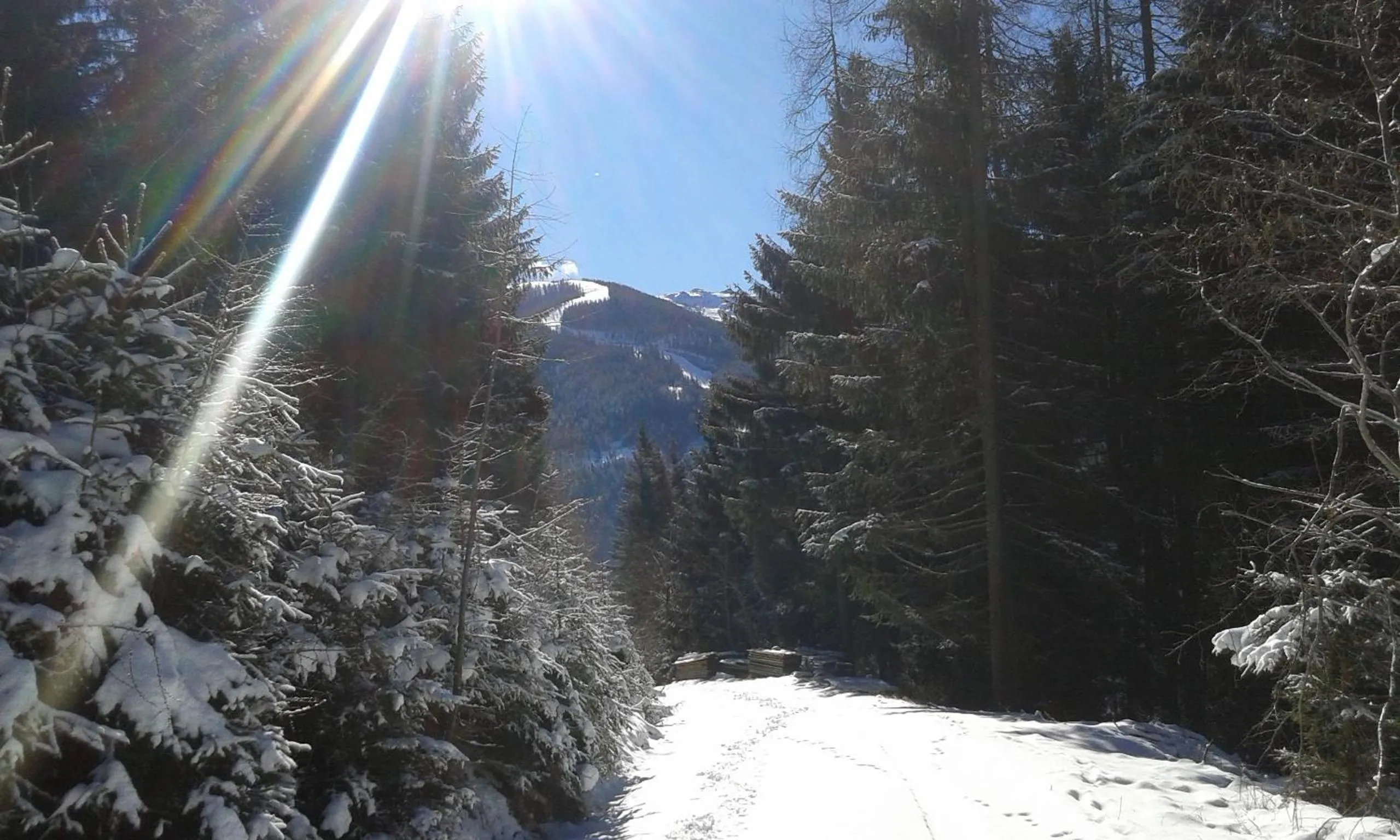 Off site in Wohlfühl & Genusshotel Felsenhof