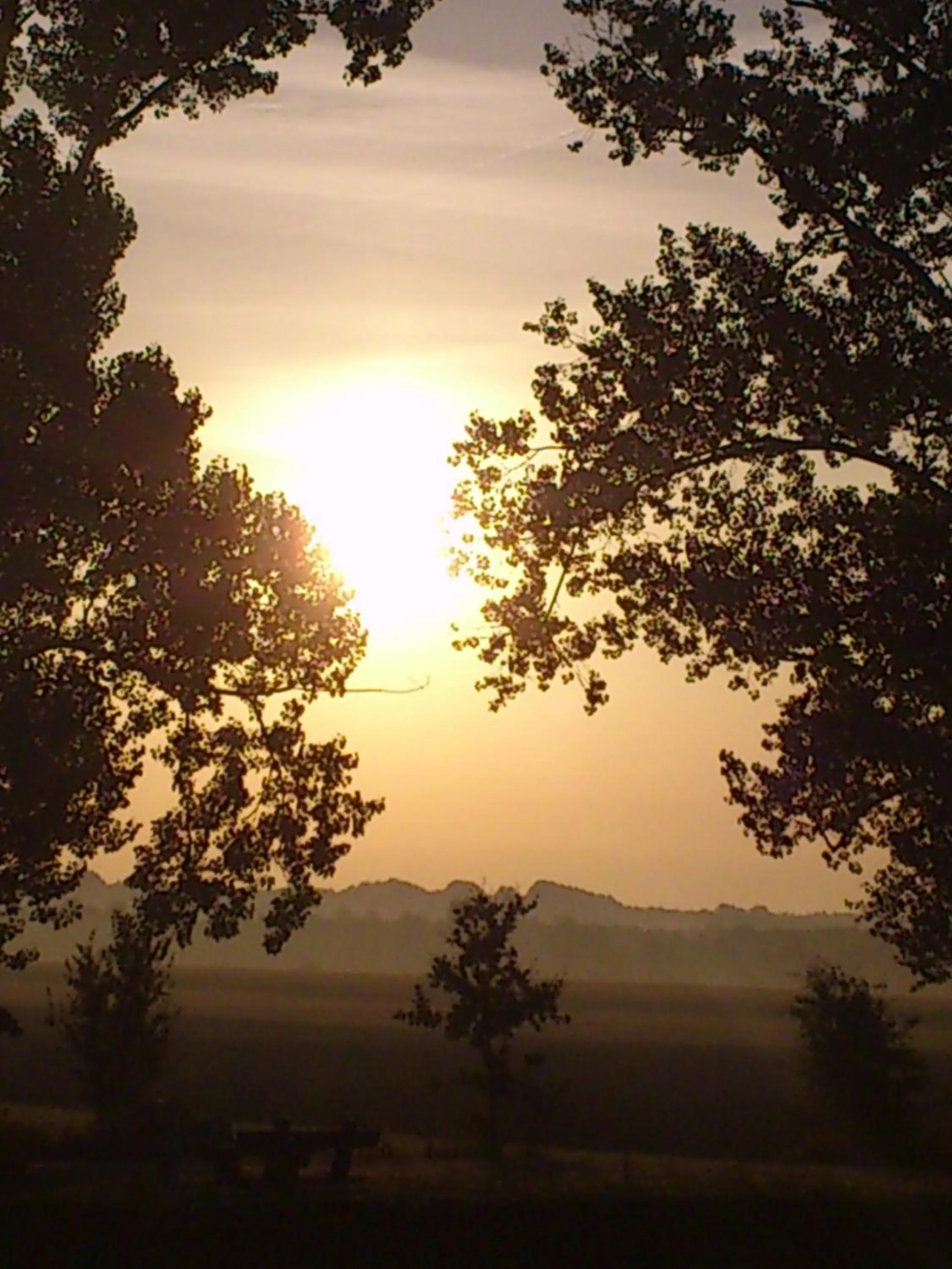 Natural landscape in Hotel Farchauer Mühle