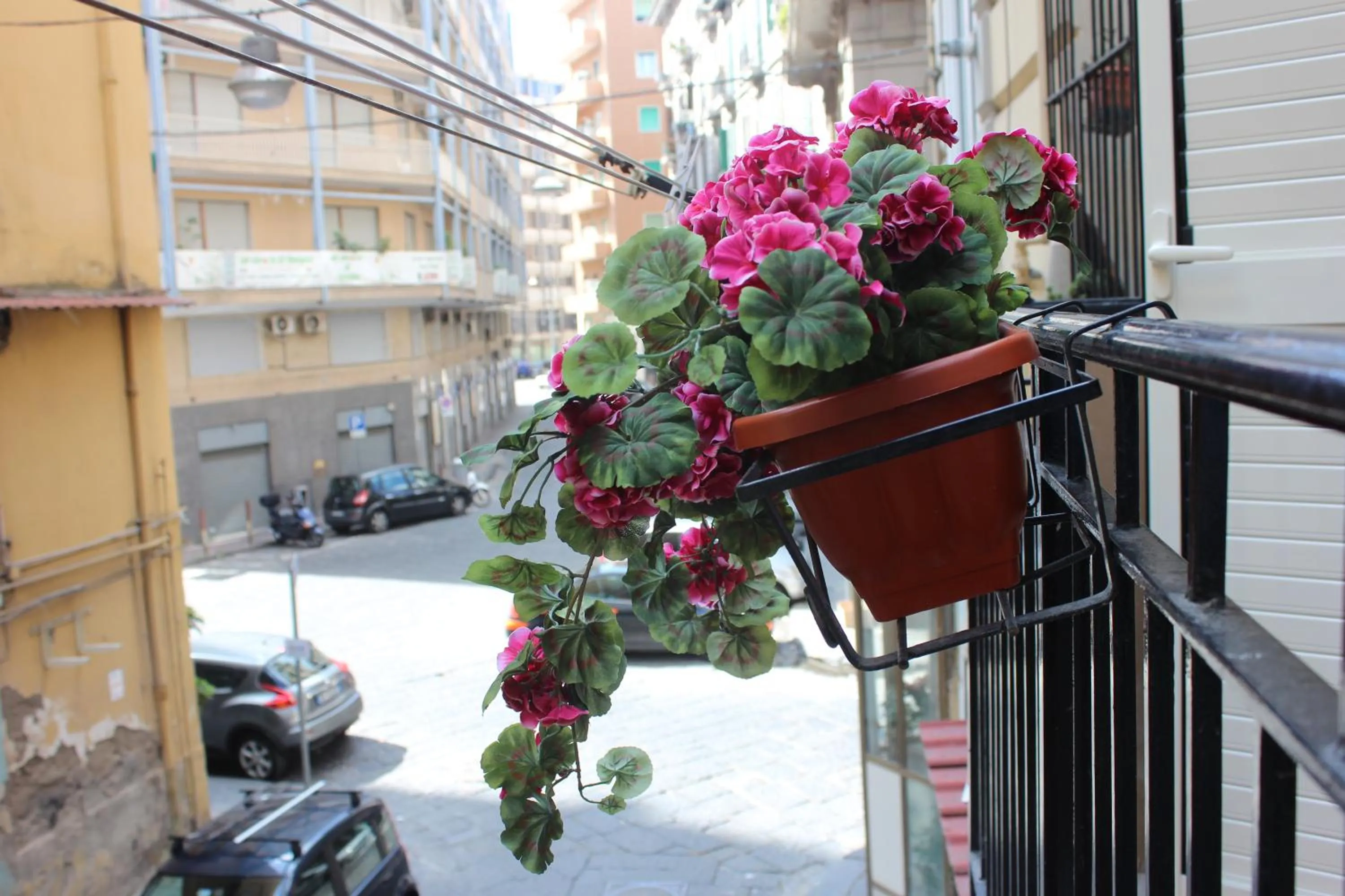 Balcony/Terrace in Napoliviva Bovio