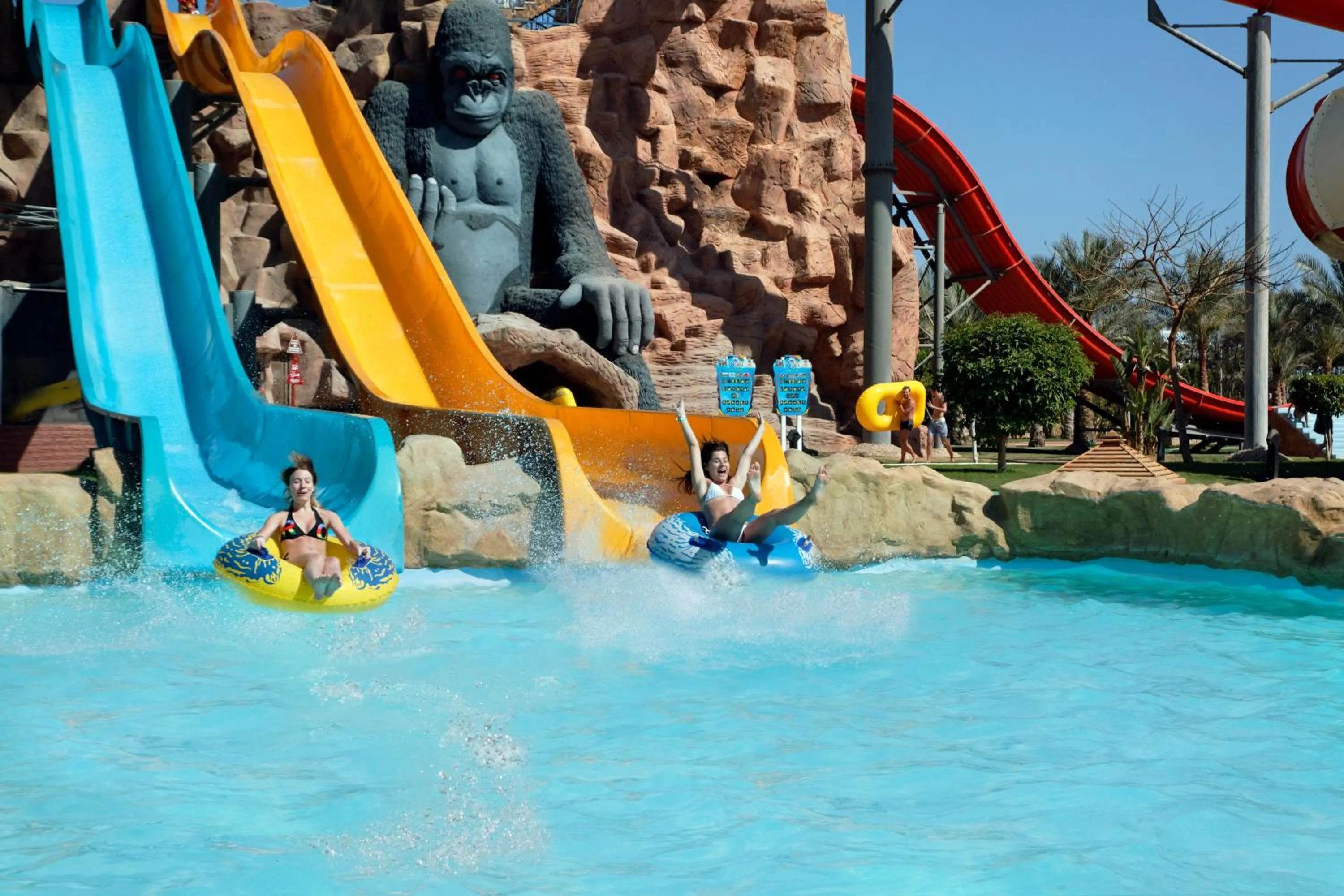 Aqua park in Pickalbatros Aqua Blu Sharm El Sheikh