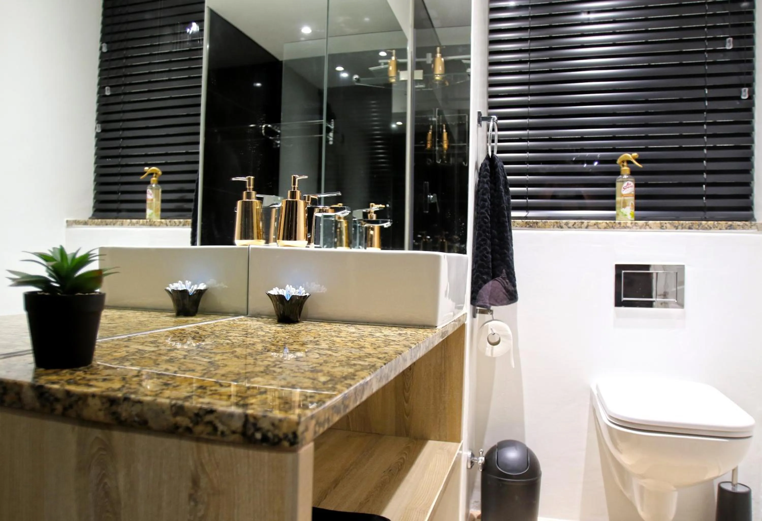 Toilet in 205 New Cumberland