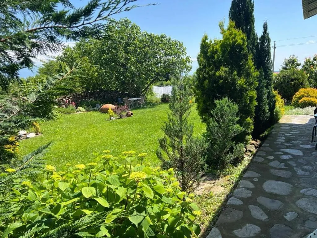 Garden in Hotel Classic