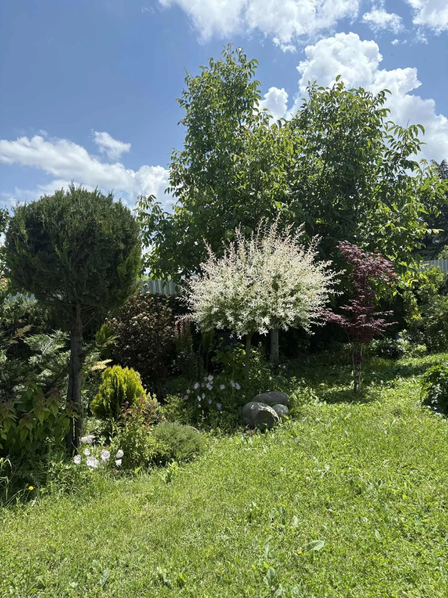 Garden in Hotel Classic