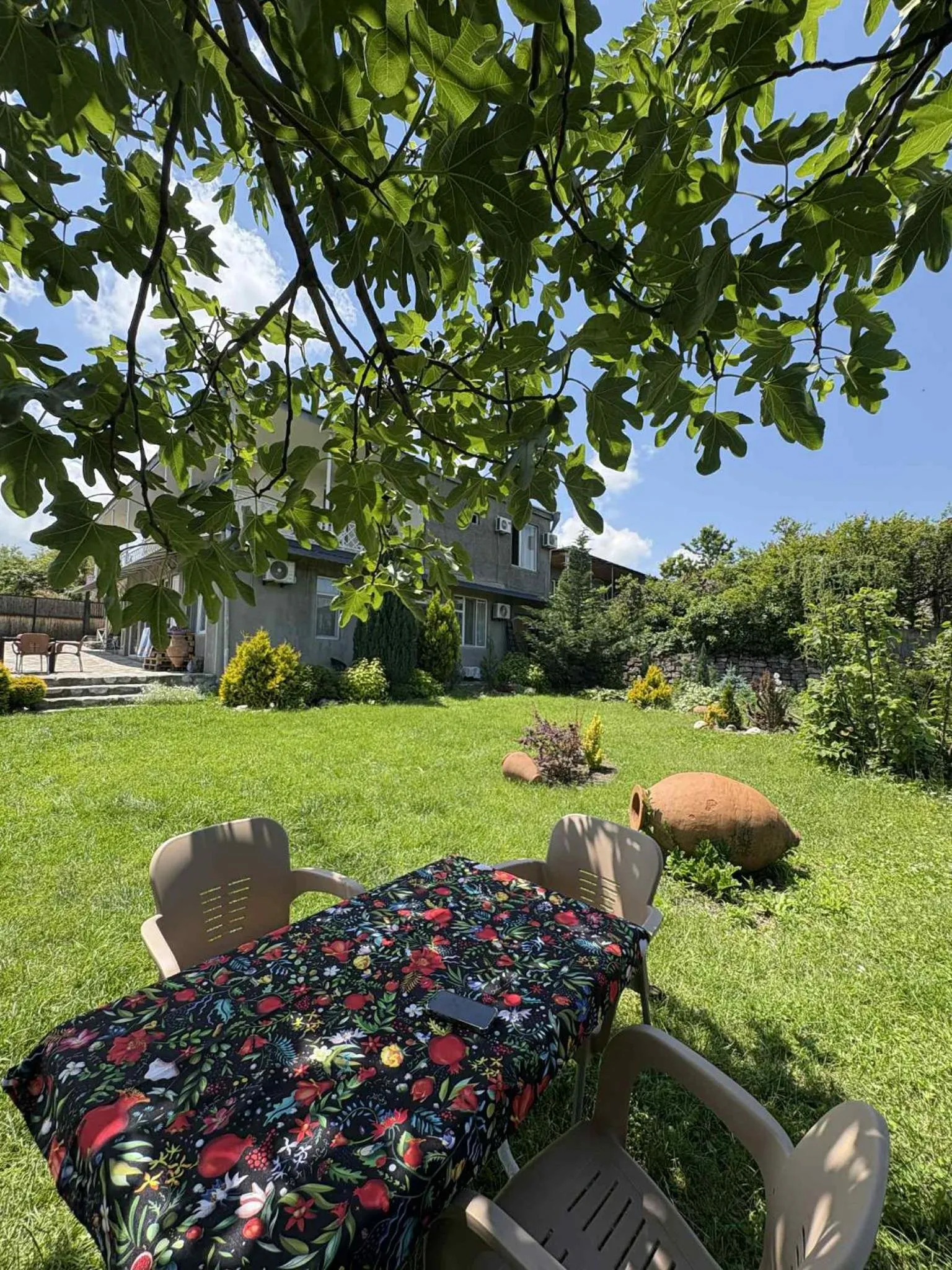 Garden view in Hotel Classic