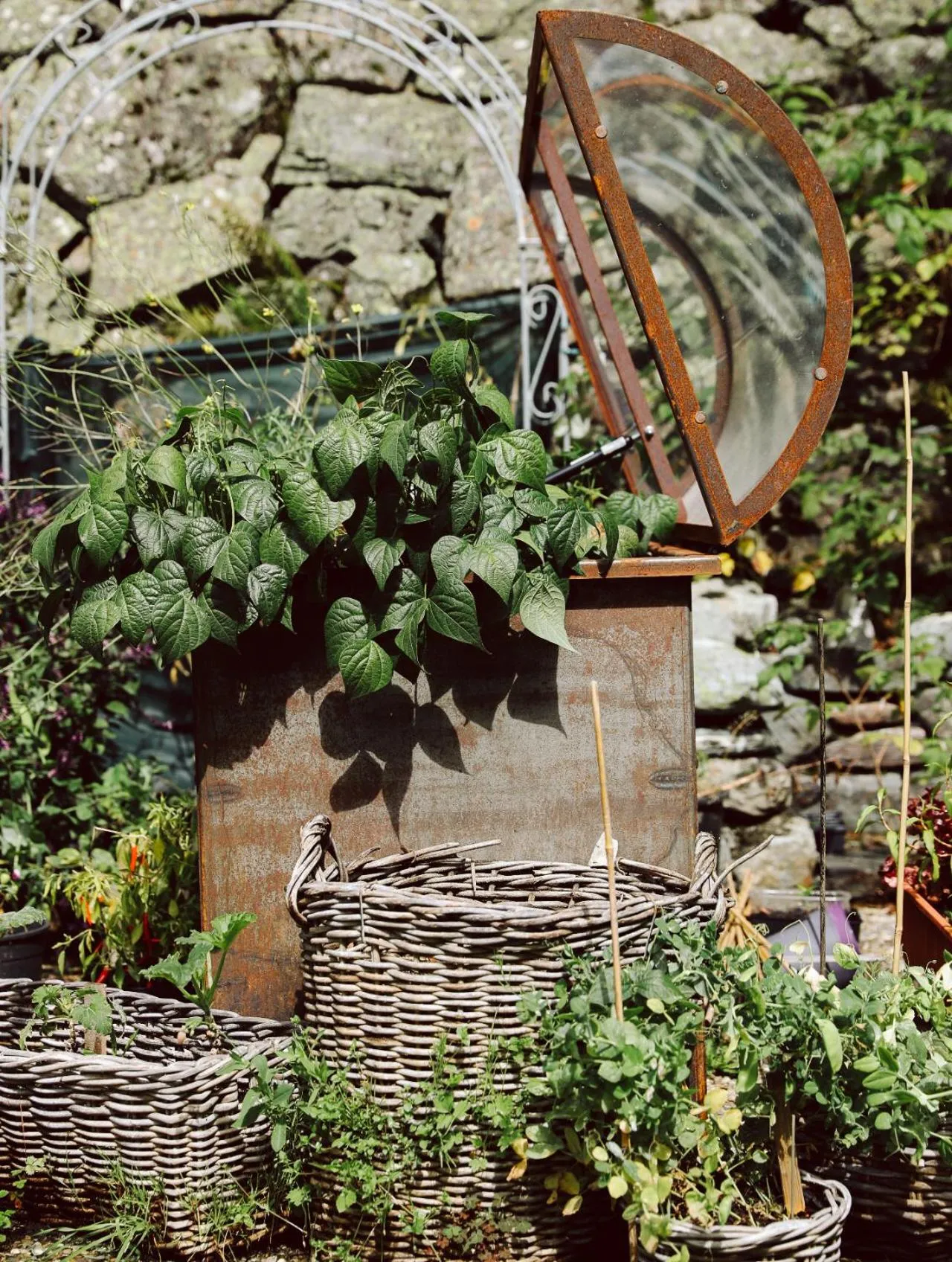 Garden in Heimspitze - Alpenhotel & Wirtshaus
