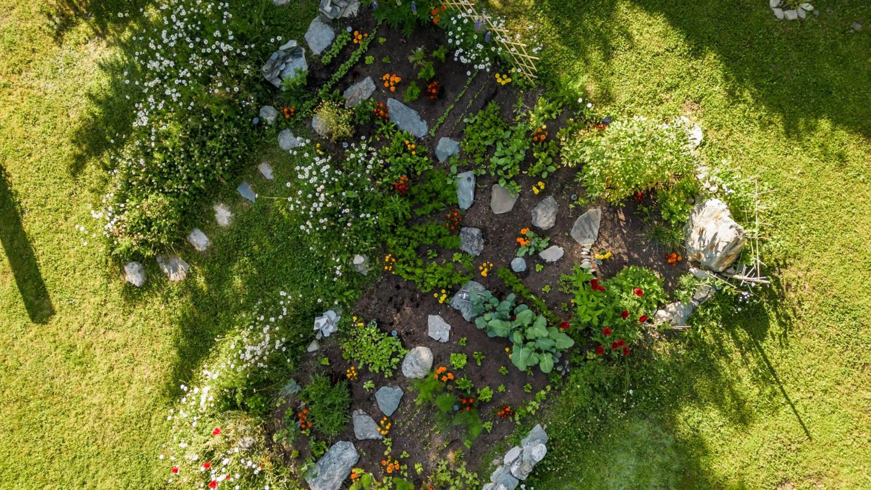 Garden in Heimspitze - Alpenhotel & Wirtshaus