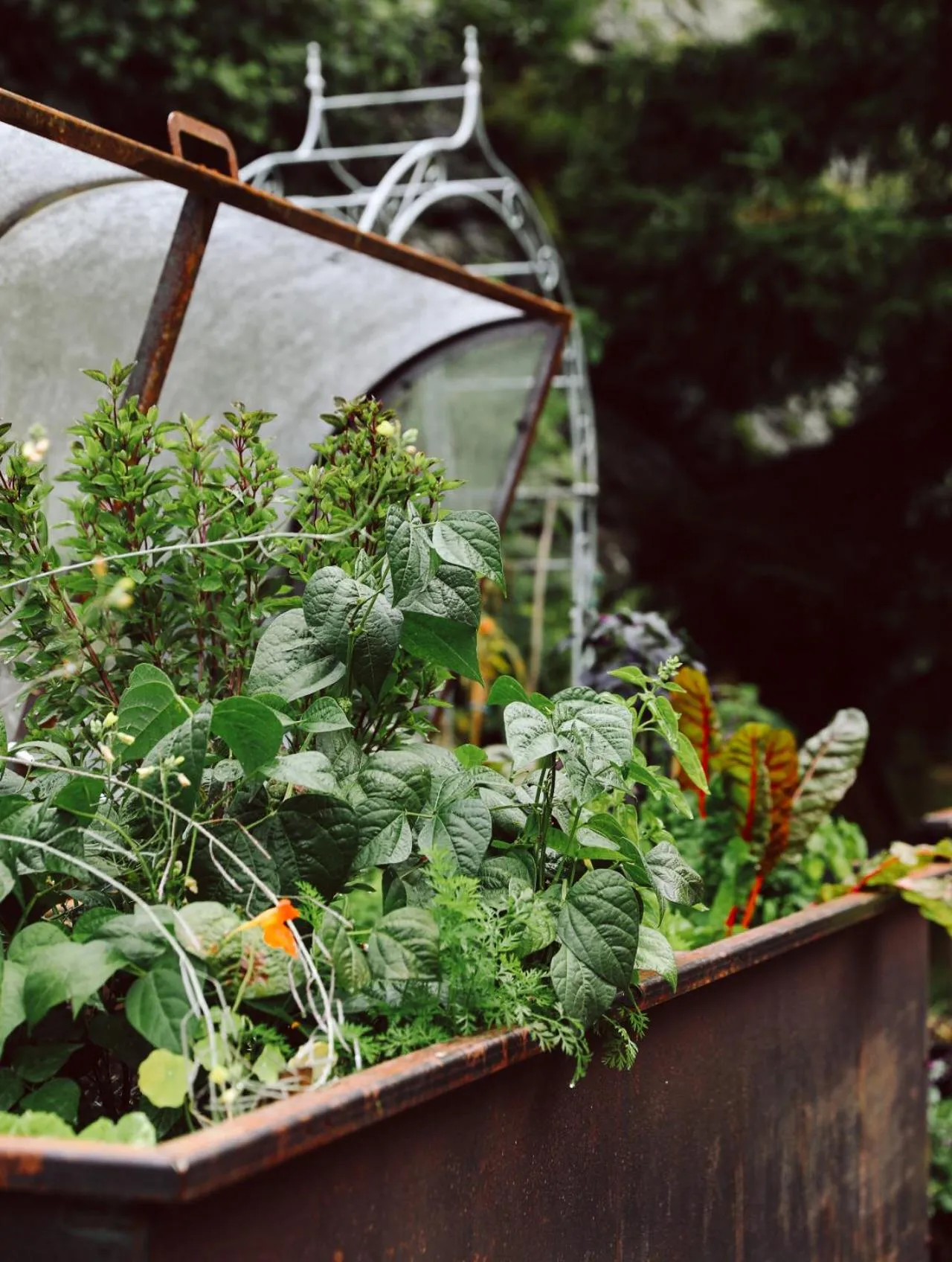 Restaurant/places to eat in Heimspitze - Alpenhotel & Wirtshaus