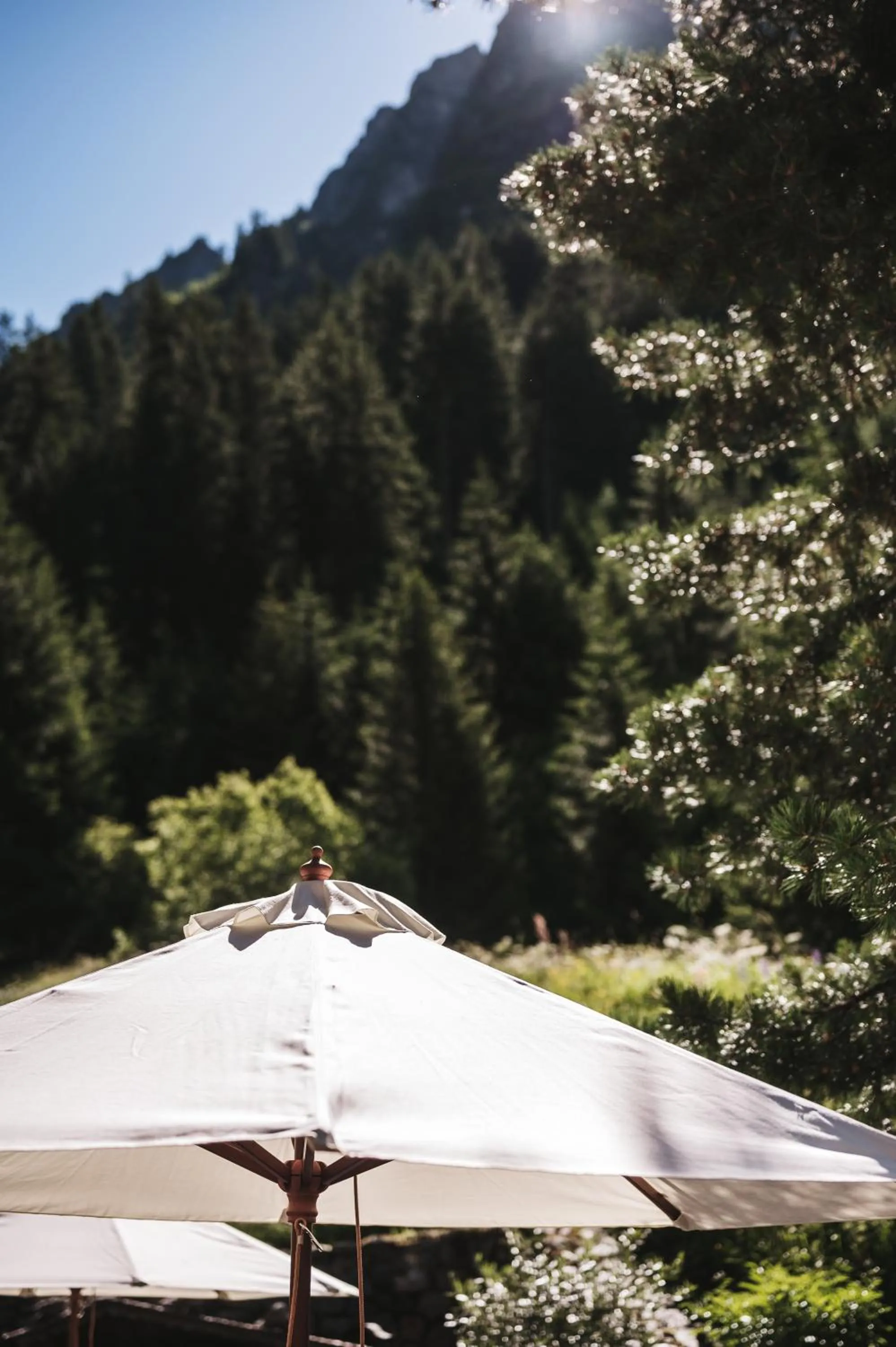 Garden in Heimspitze - Alpenhotel & Wirtshaus