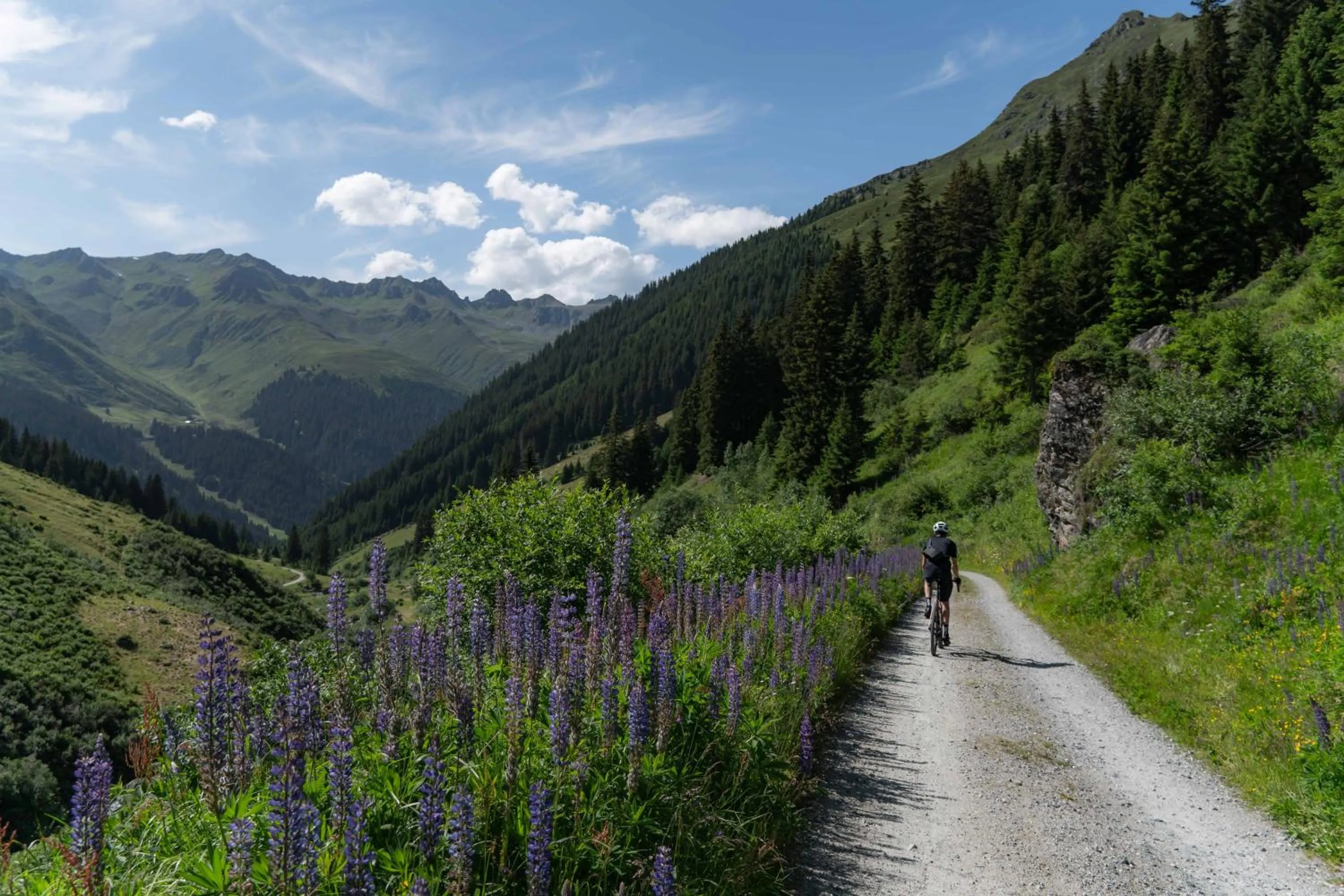 Activities in Heimspitze - Alpenhotel & Wirtshaus