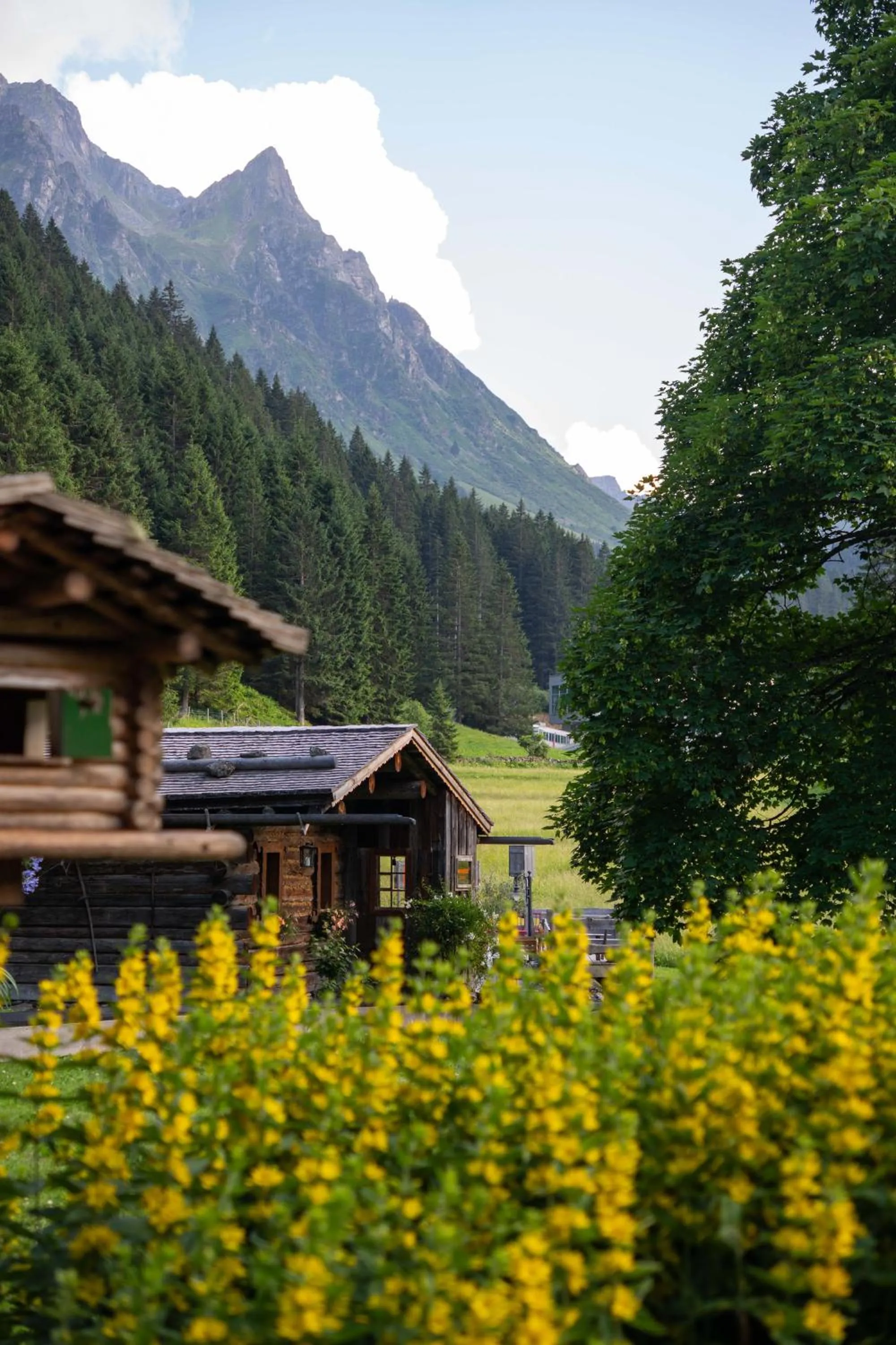 Garden in Heimspitze - Alpenhotel & Wirtshaus