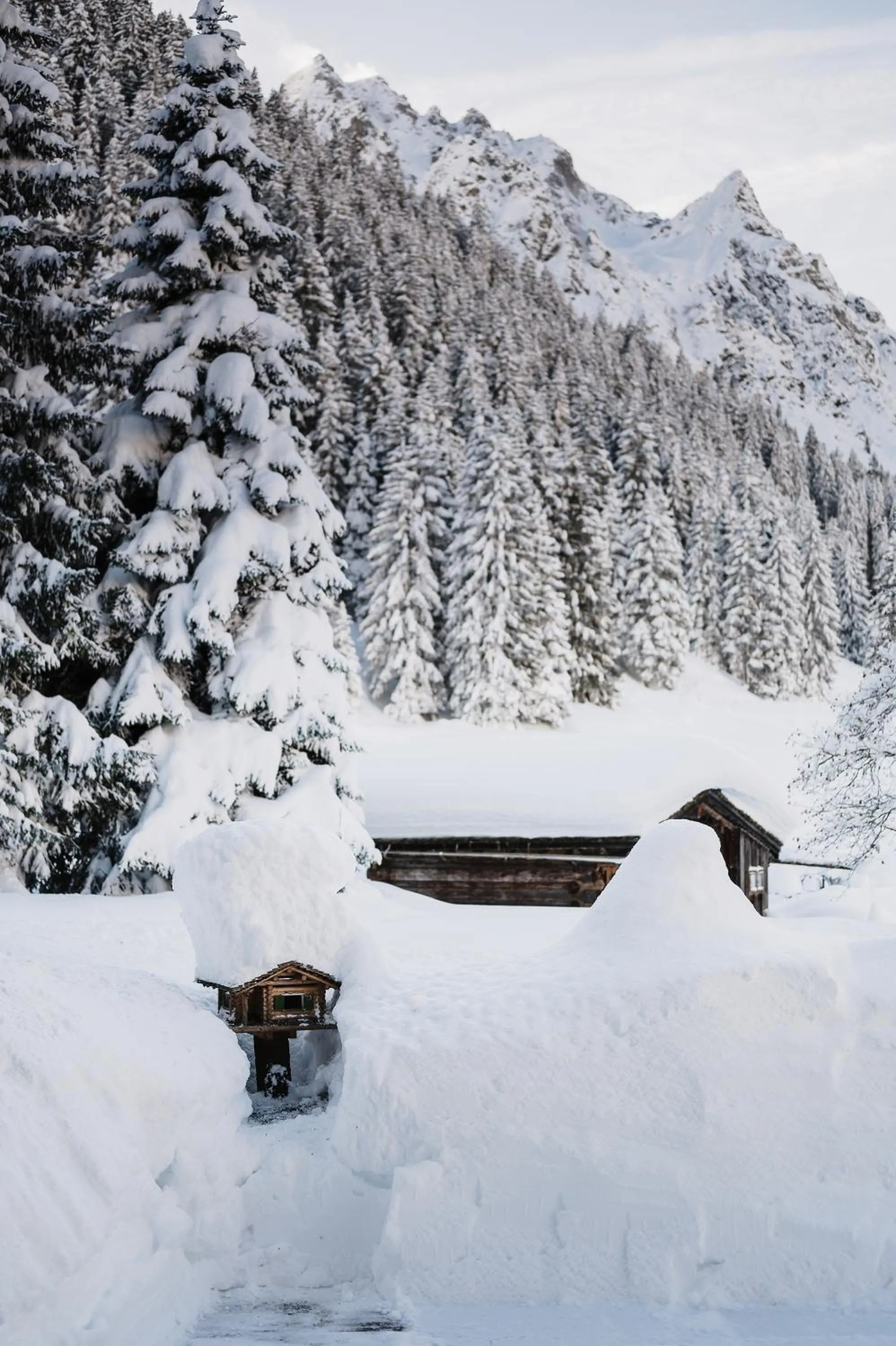 Facade/entrance in Heimspitze - Alpenhotel & Wirtshaus