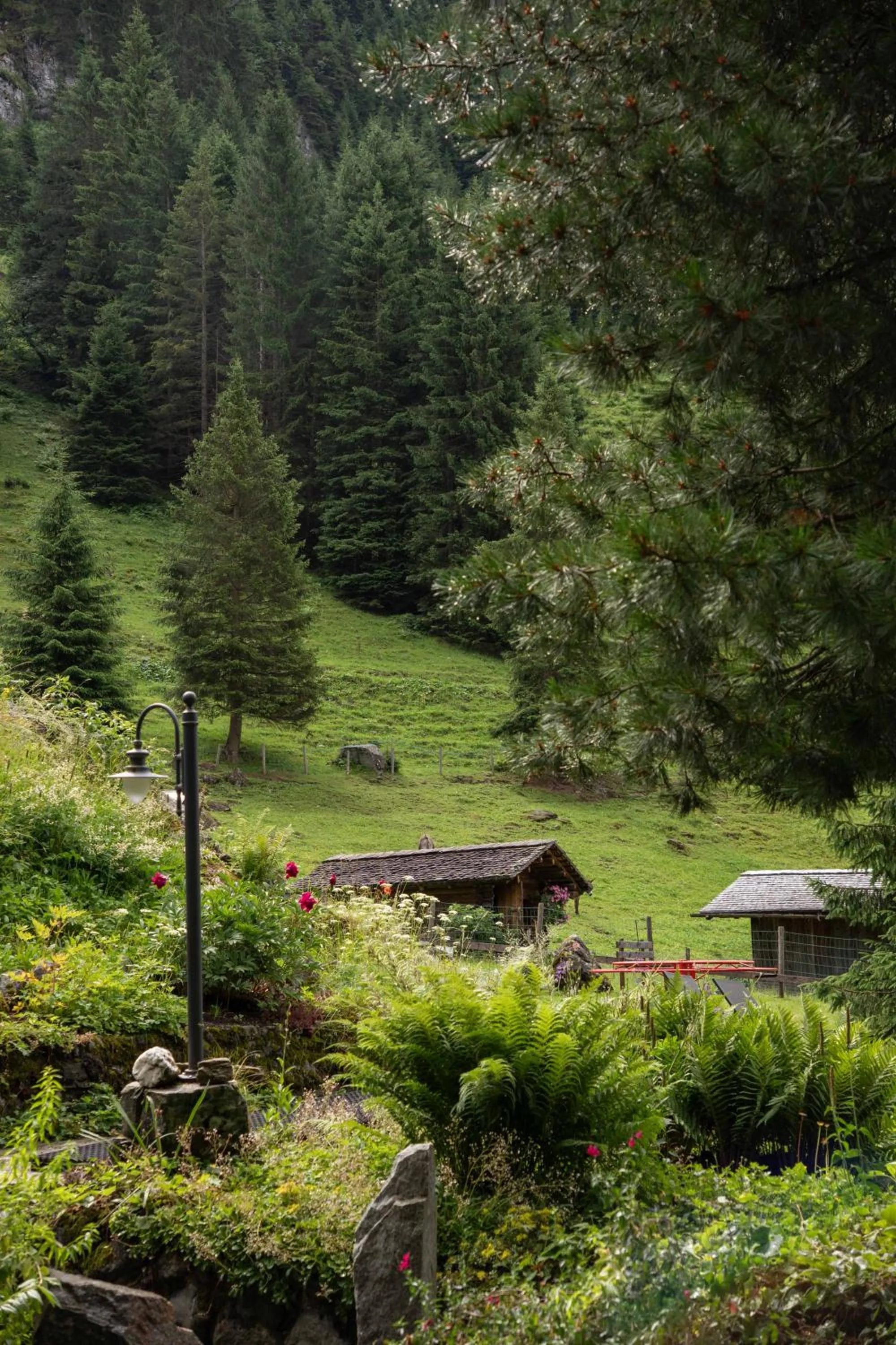 Garden in Heimspitze - Alpenhotel & Wirtshaus