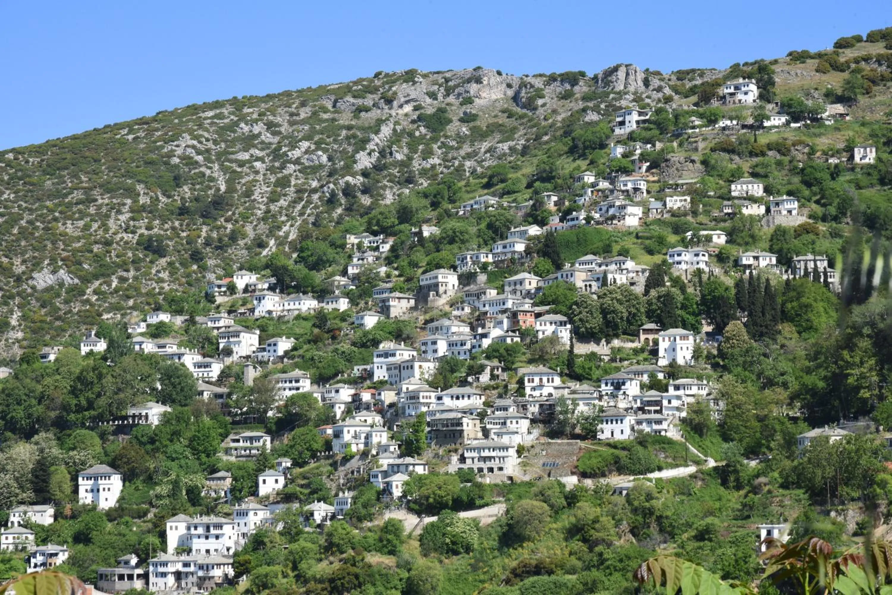 Archontika Karamarlis