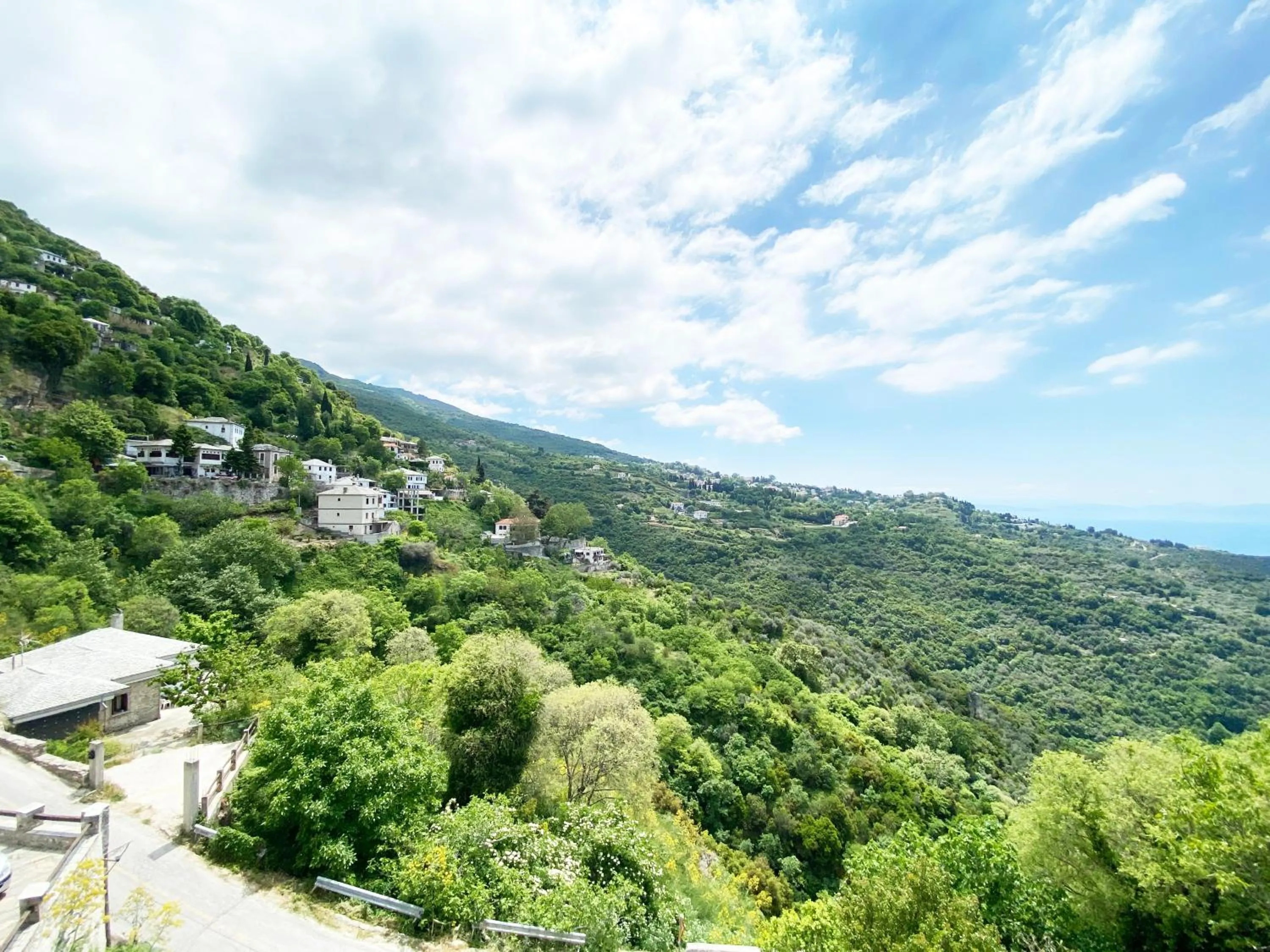 Archontika Karamarlis