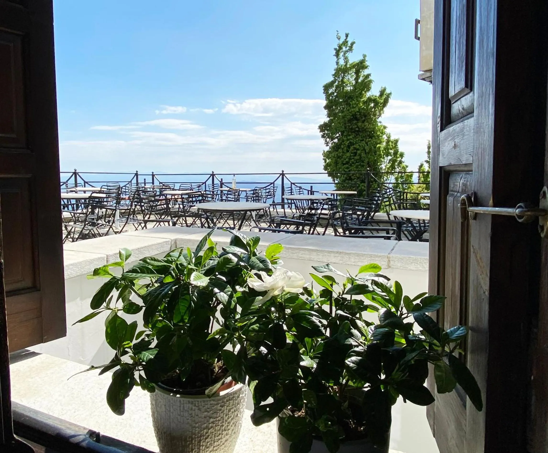 Archontika Karamarlis