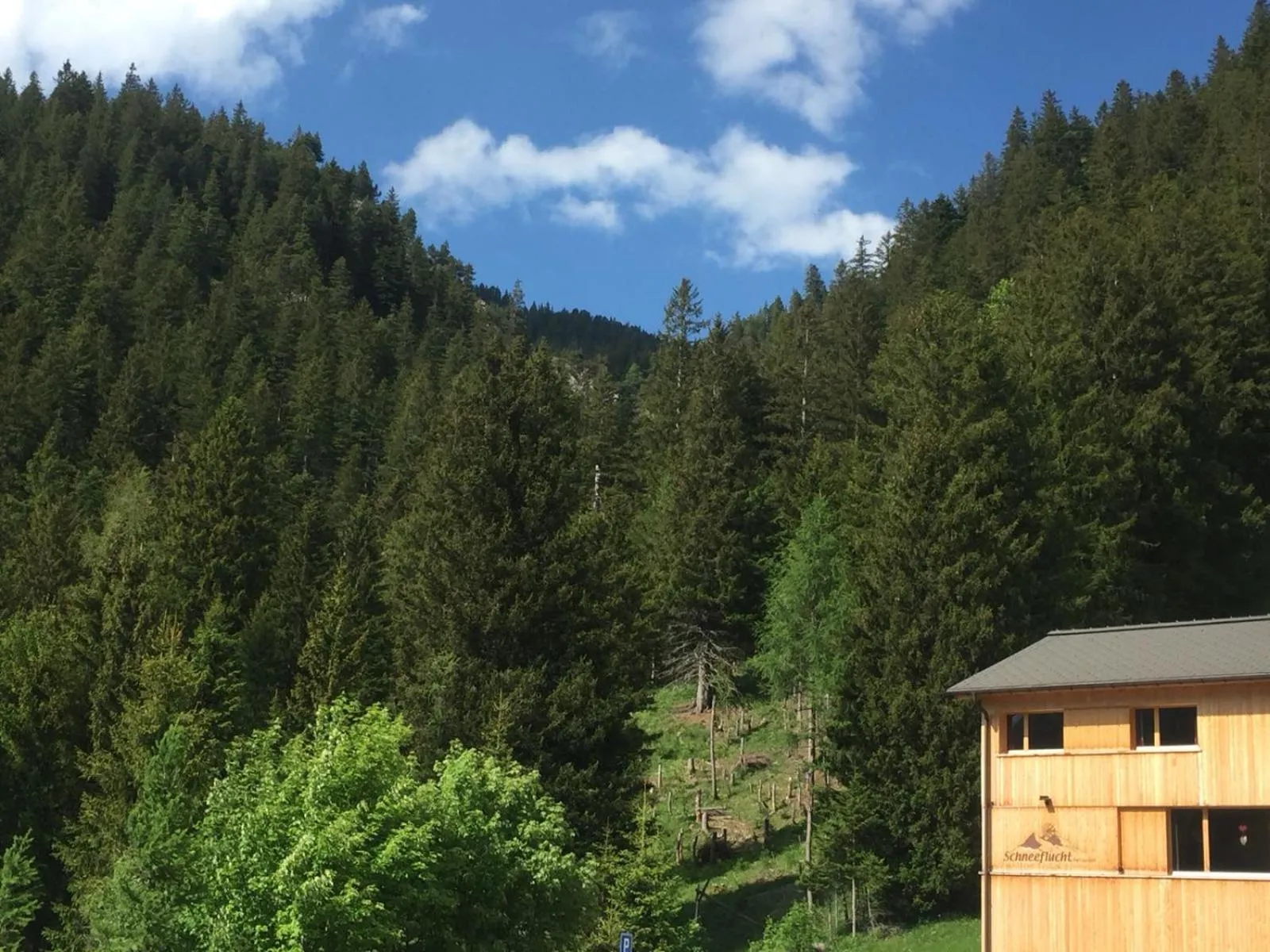 Jelmon Anstalt Restaurants Schneeflucht