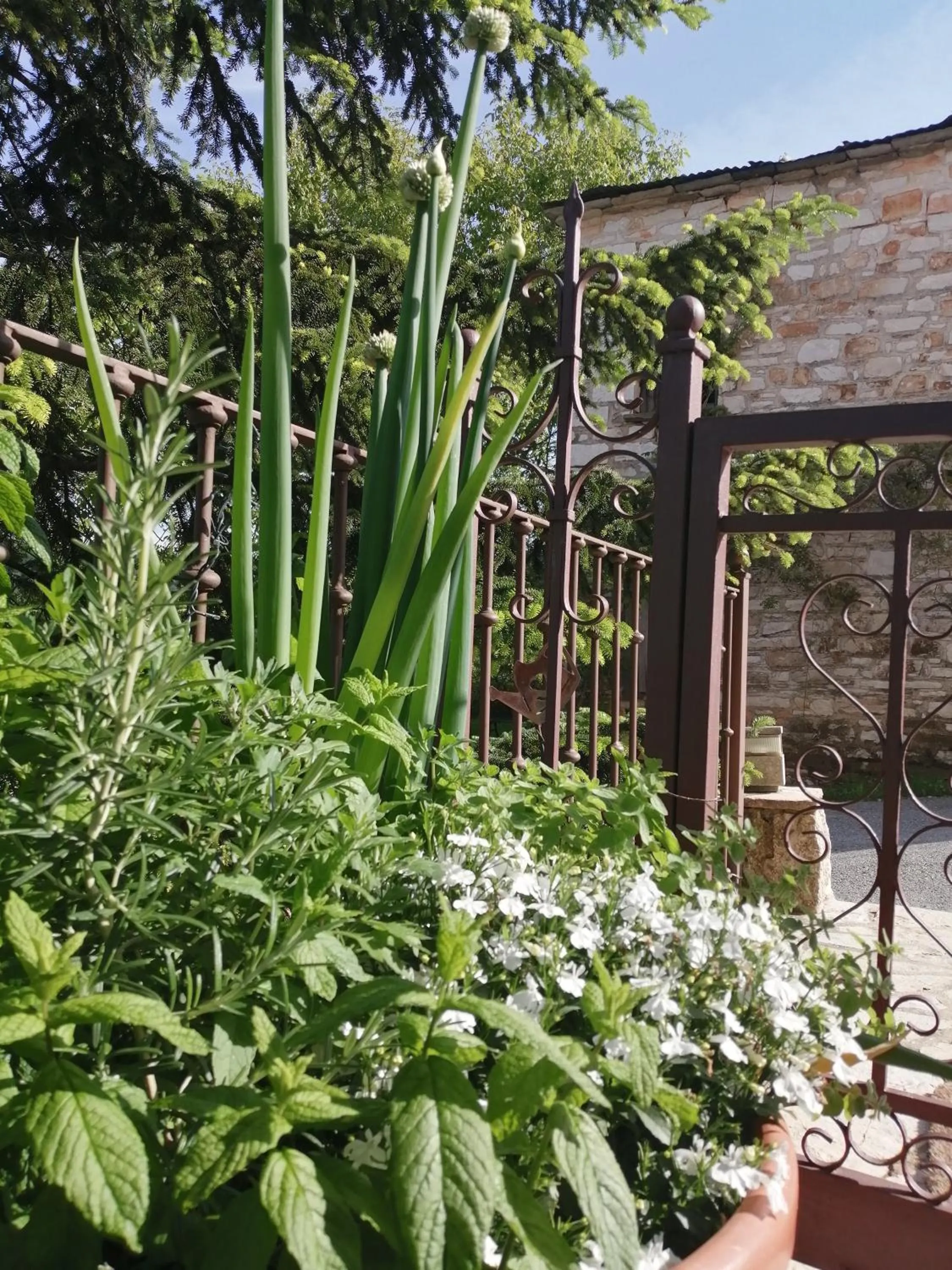 Spring in Vaela Hotel Cultural Resort