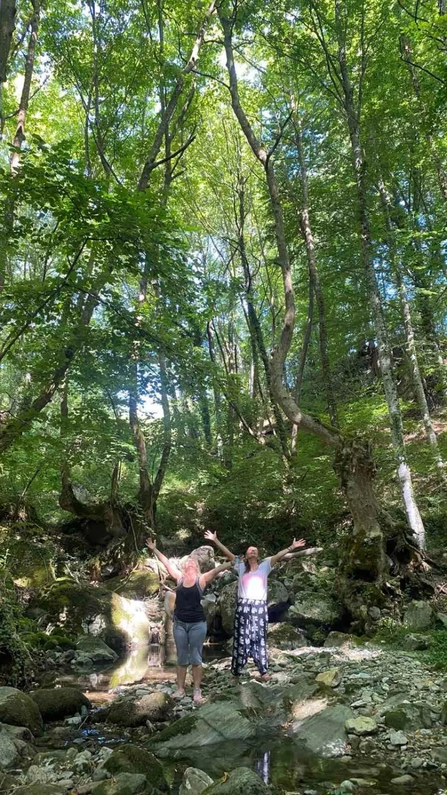 Vaela Hotel Cultural Resort