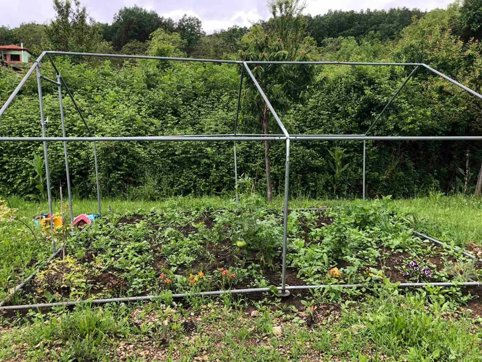 Garden in Vaela Hotel Cultural Resort