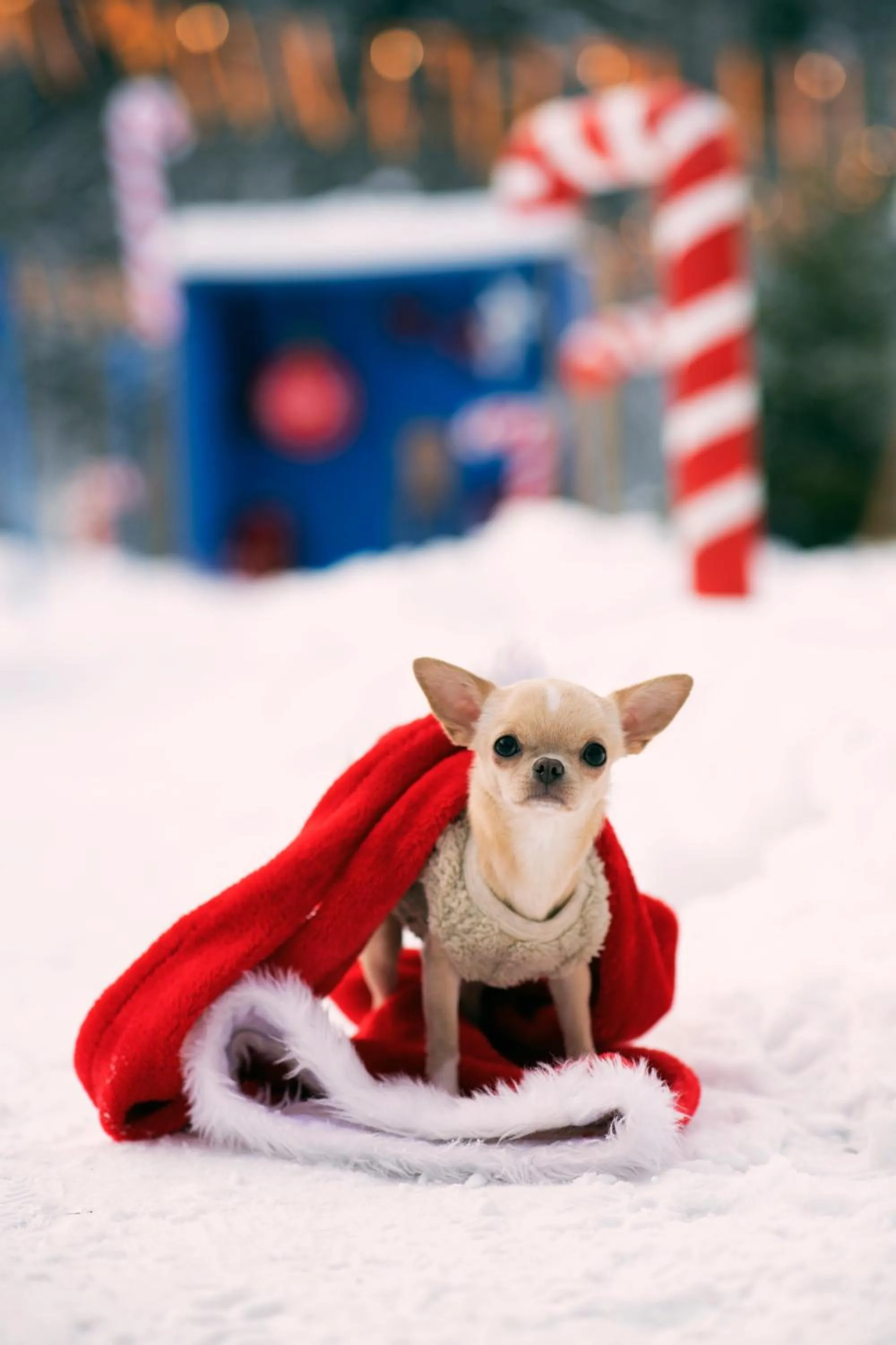 Winter in Hotel Kotarz Spa&Wellness