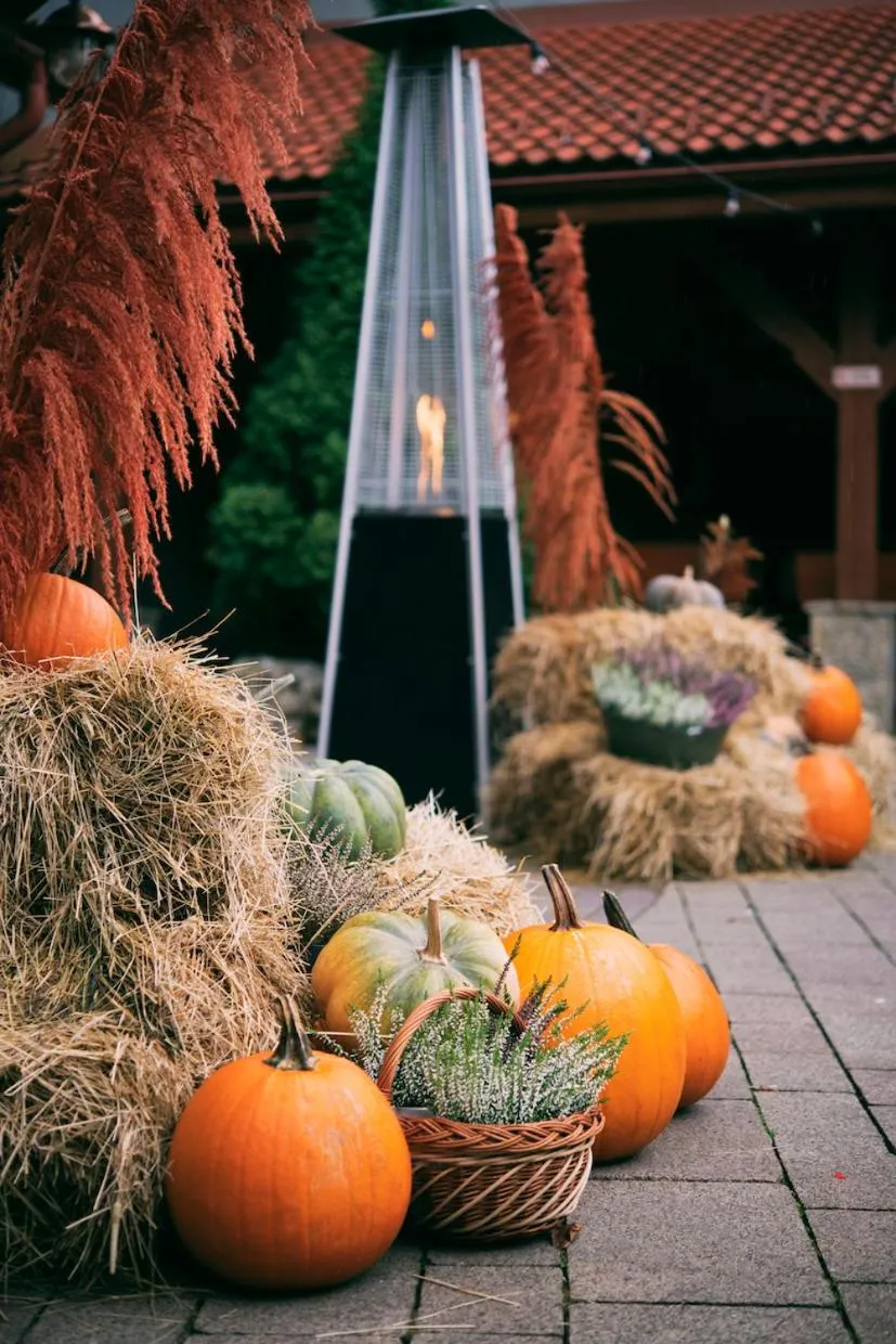 Day in Hotel Kotarz Spa&Wellness