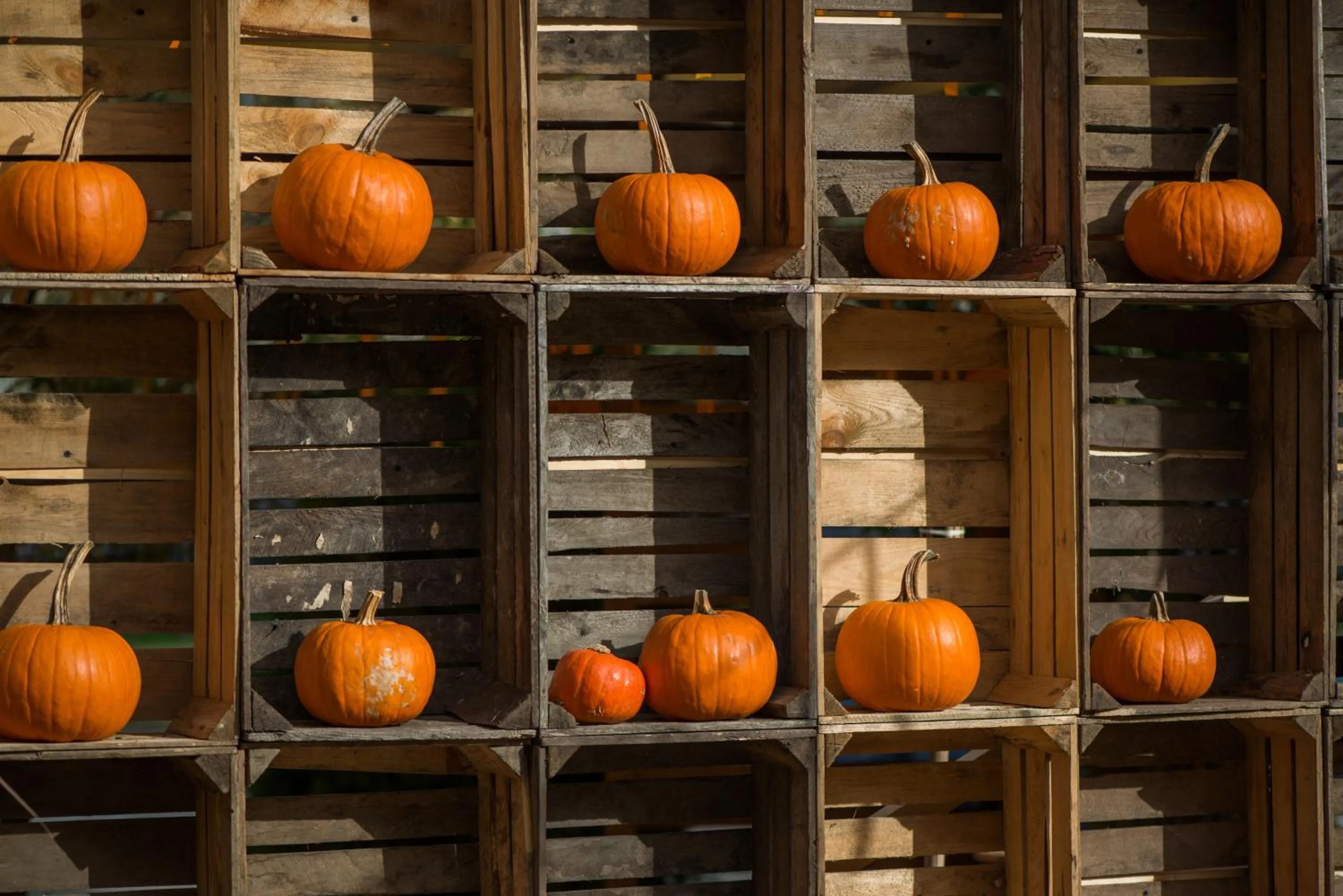 Property building in Hotel Kotarz Spa&Wellness