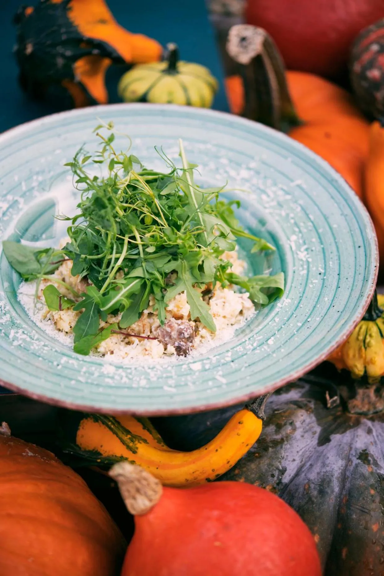 Food and drinks in Hotel Kotarz Spa&Wellness