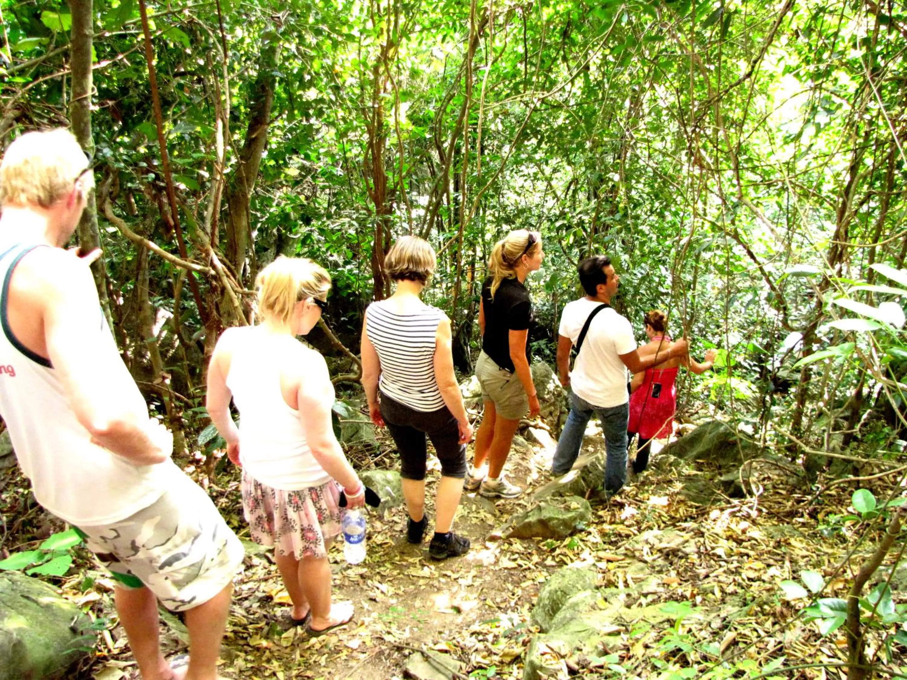 Activities in Whisper Nature Bungalow & Resort
