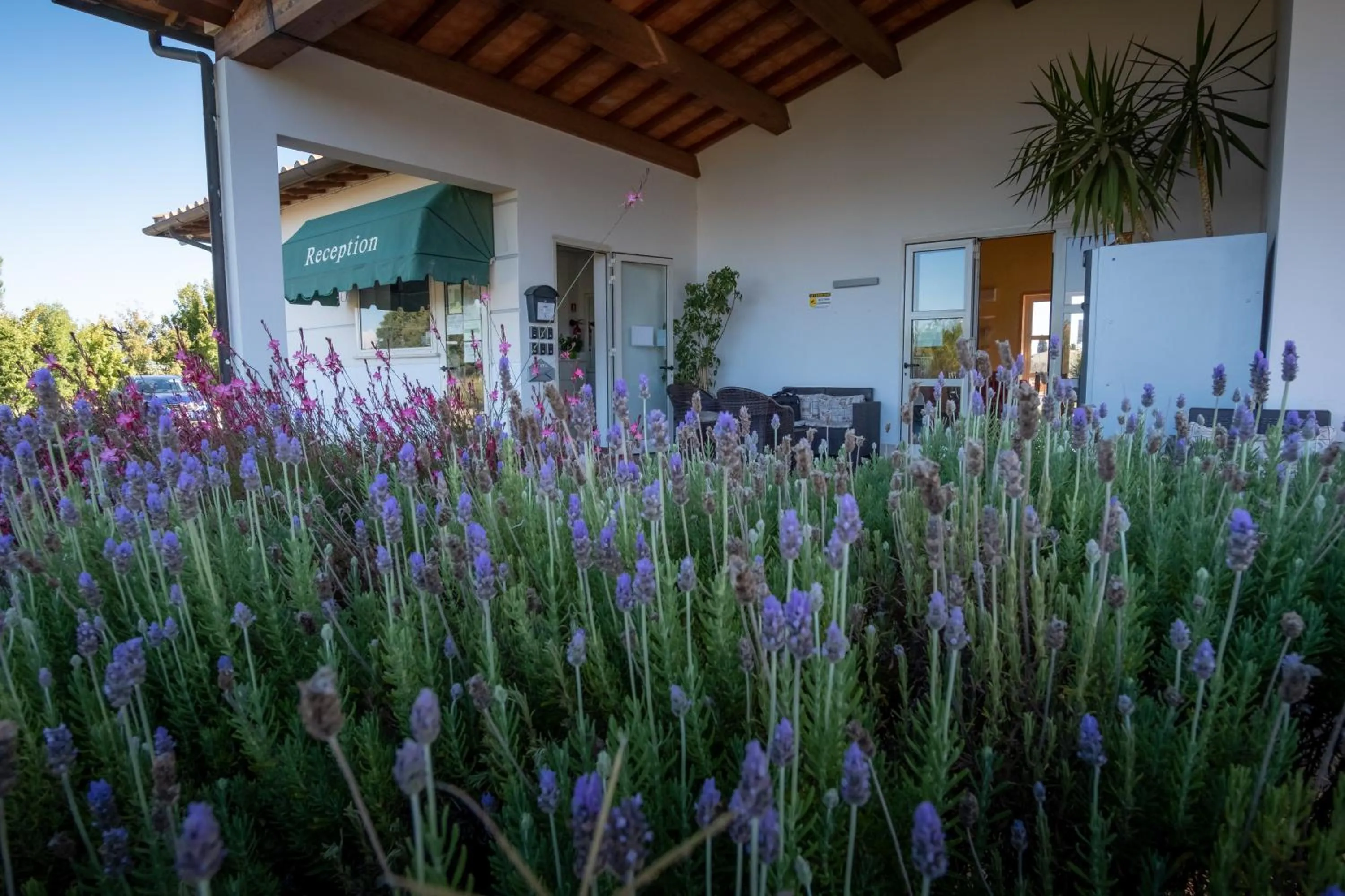 Property building in Residenza Principina