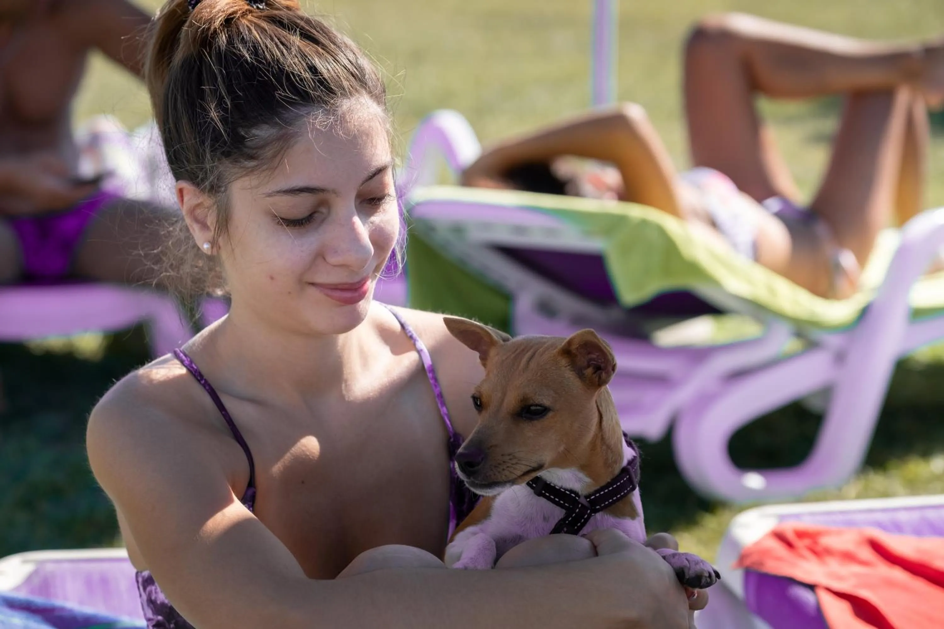 Animals in Residenza Principina