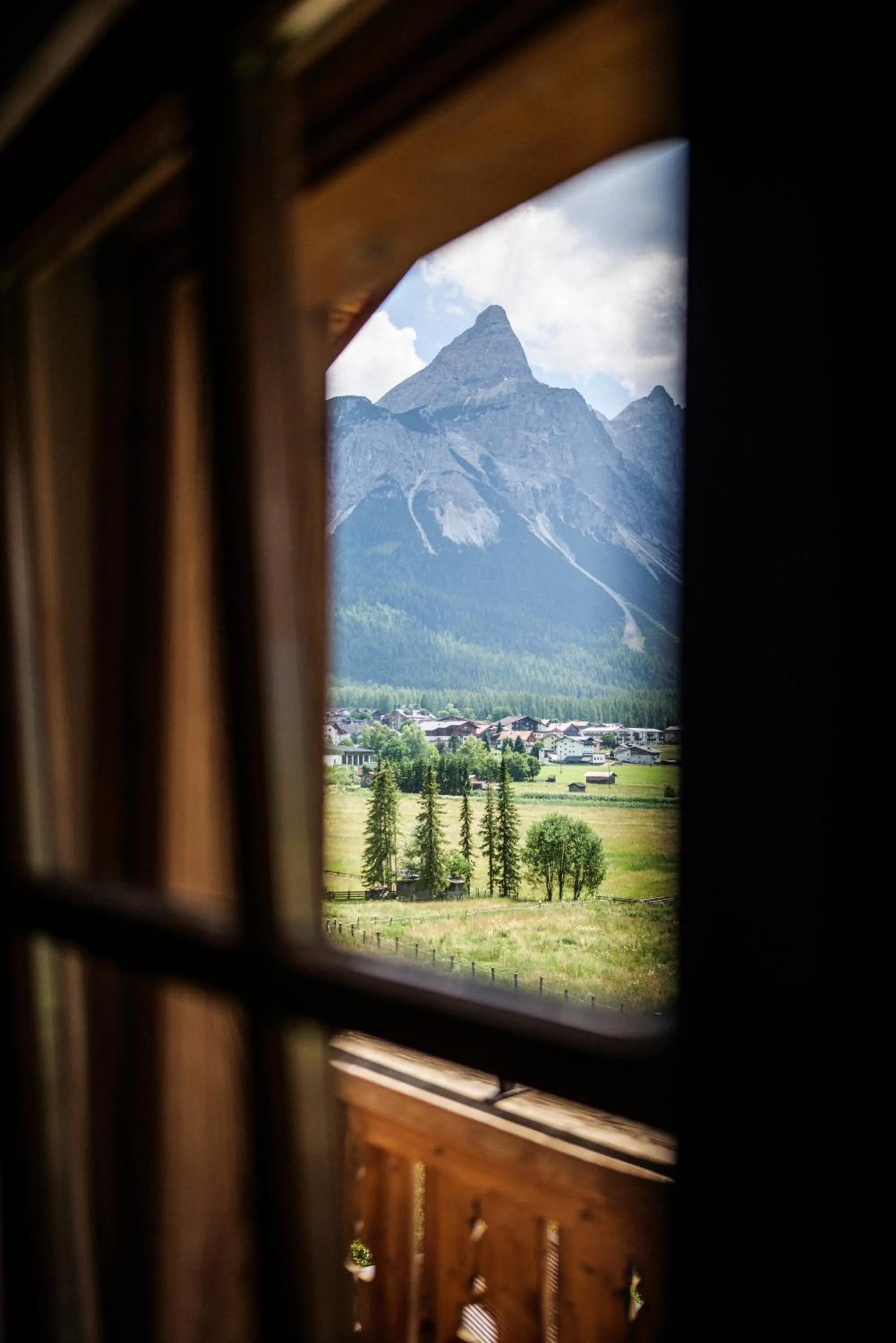 View (from property/room) in Mellow Mountain Hostel