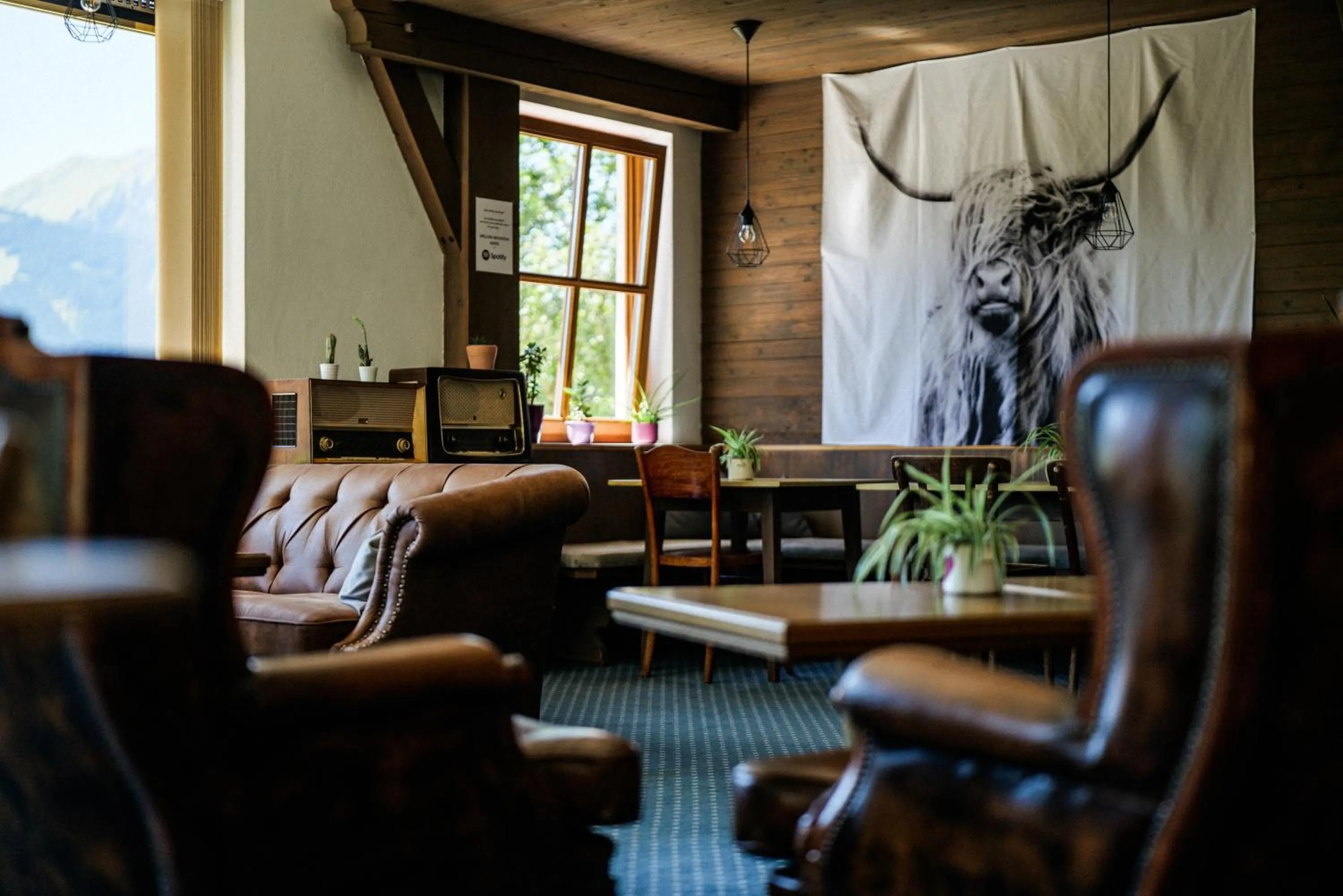 Lounge or bar in Mellow Mountain Hostel