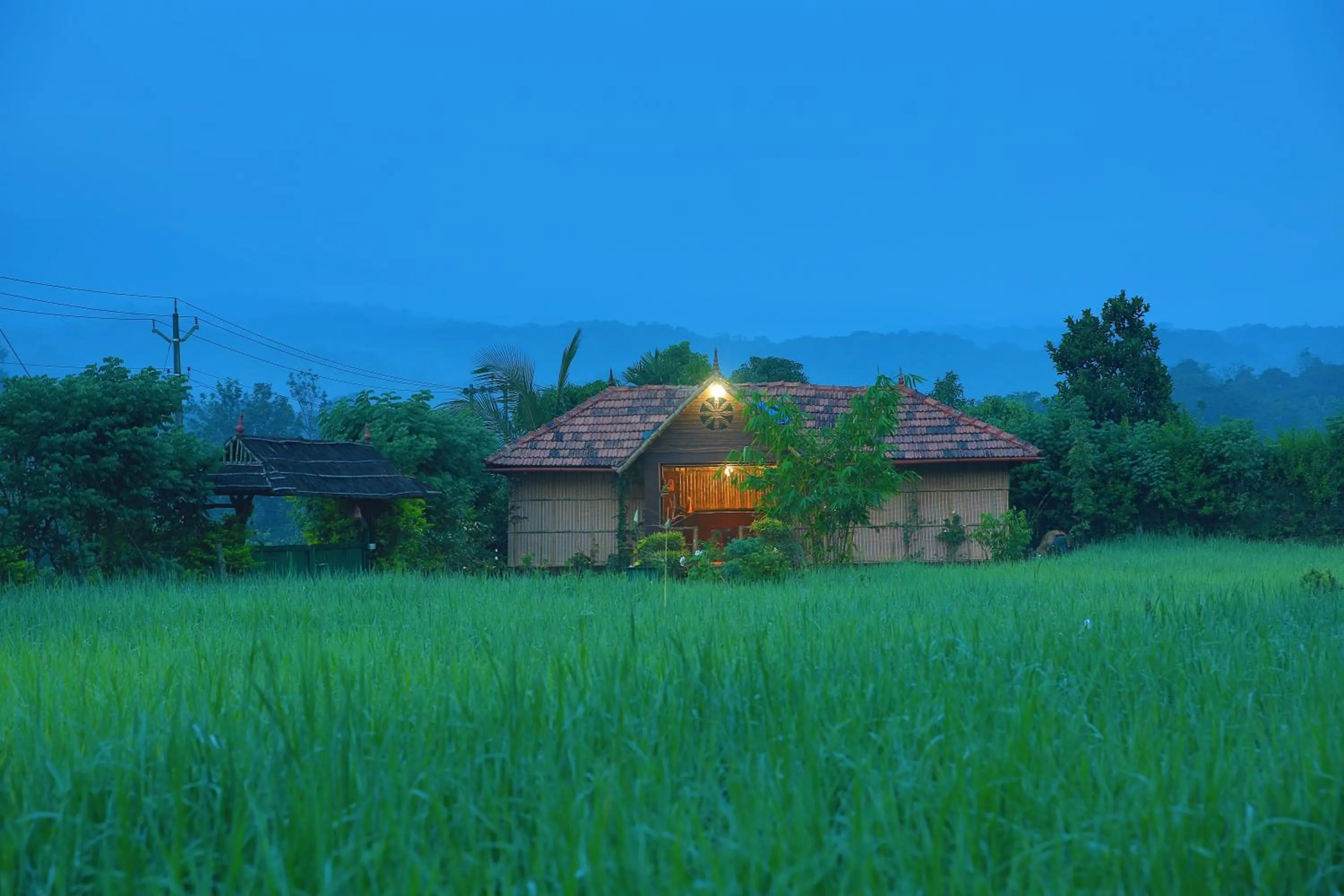 Neighbourhood in KOOMANKOLLY RESORT