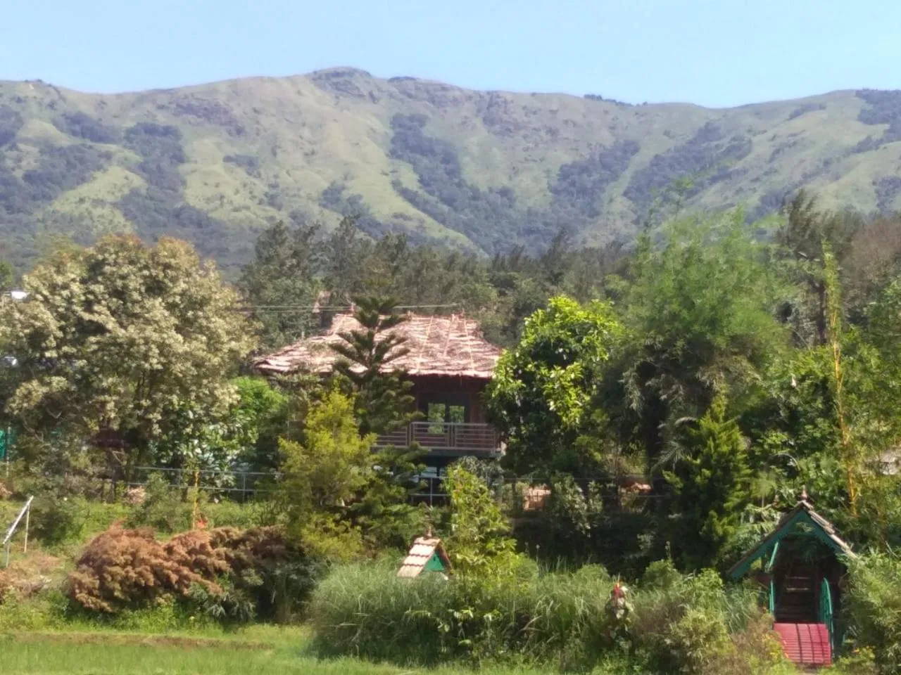 Mountain view in KOOMANKOLLY RESORT