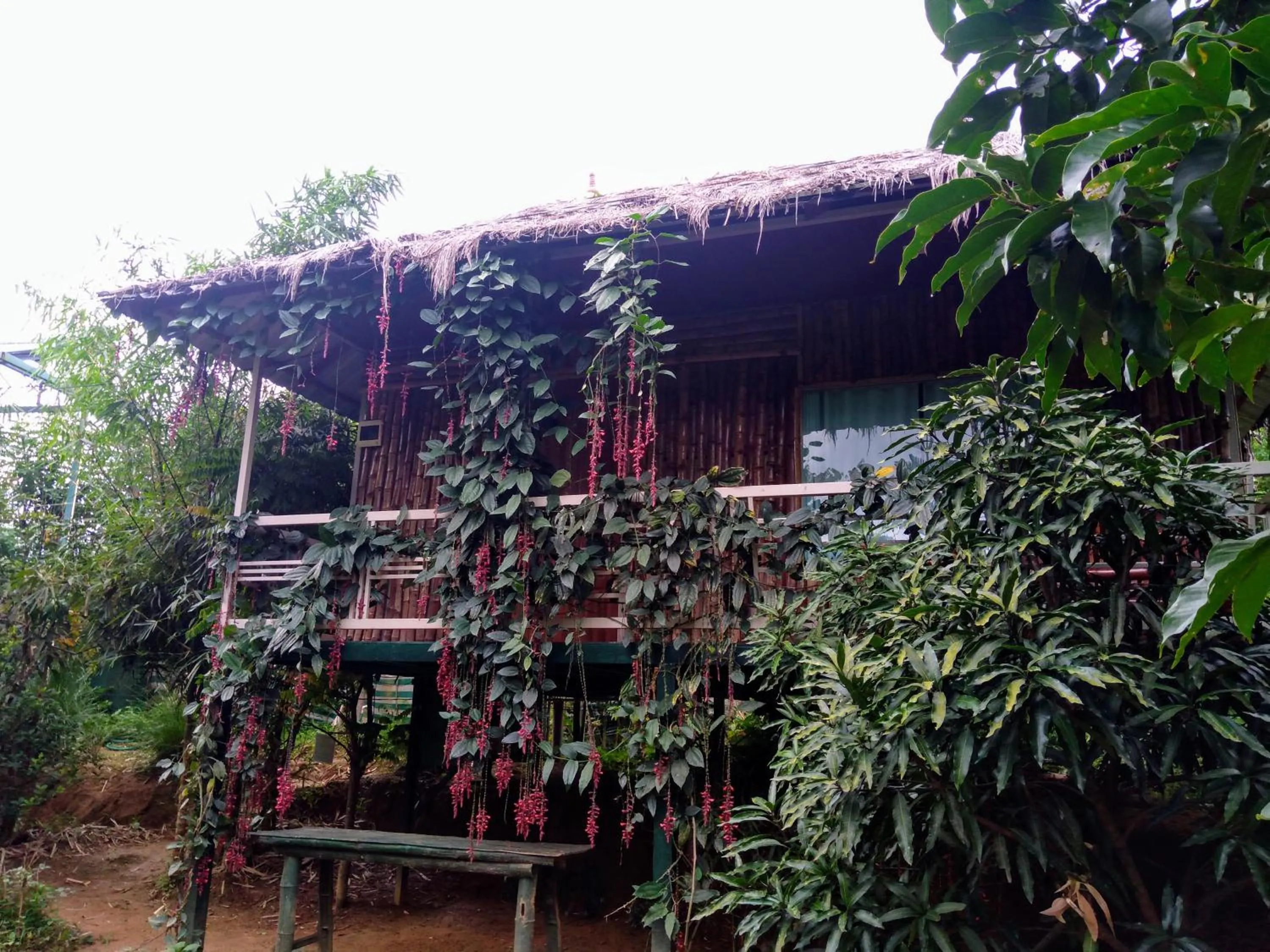 Balcony/Terrace in KOOMANKOLLY RESORT