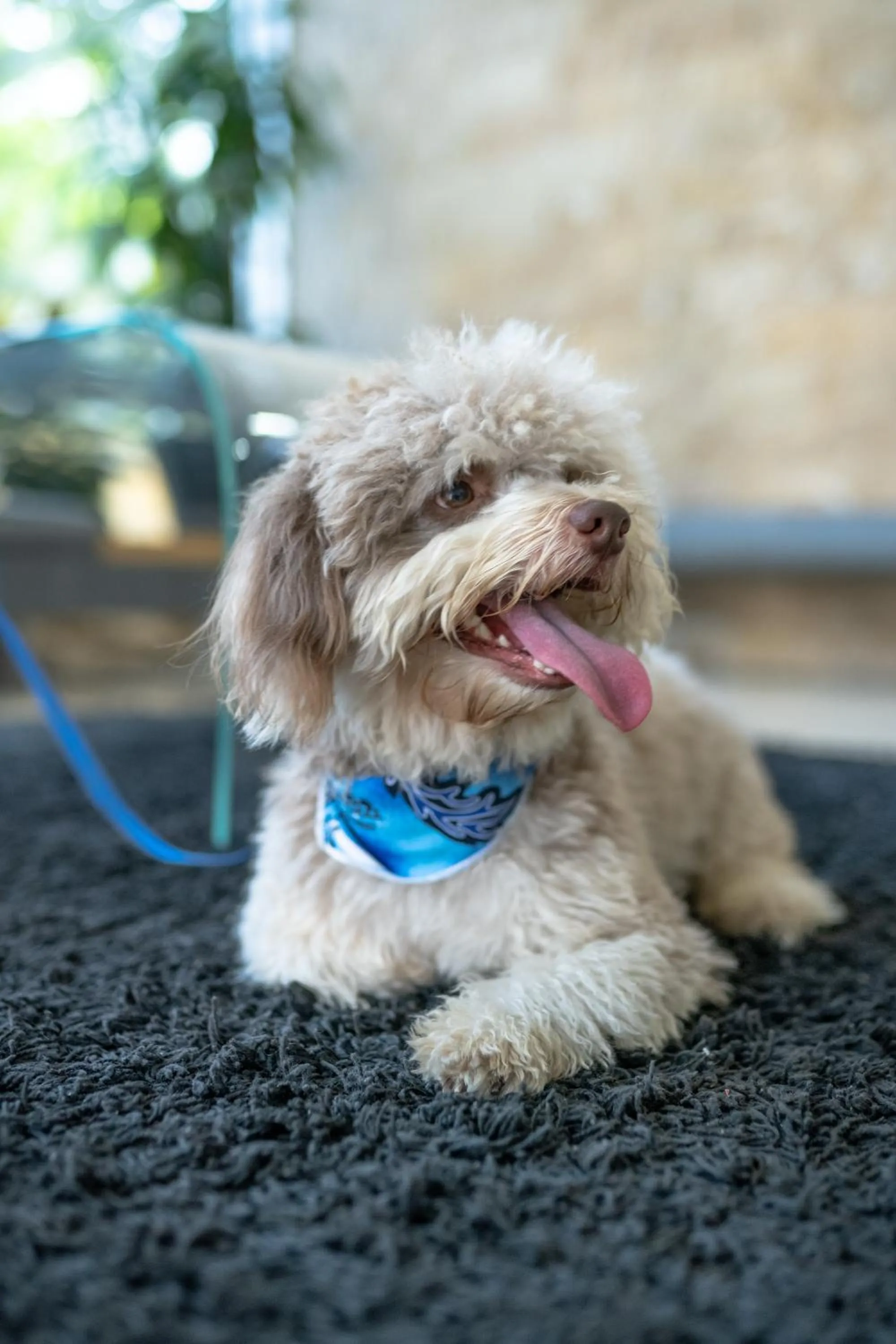 Property building in GHL Hotel Barranquilla