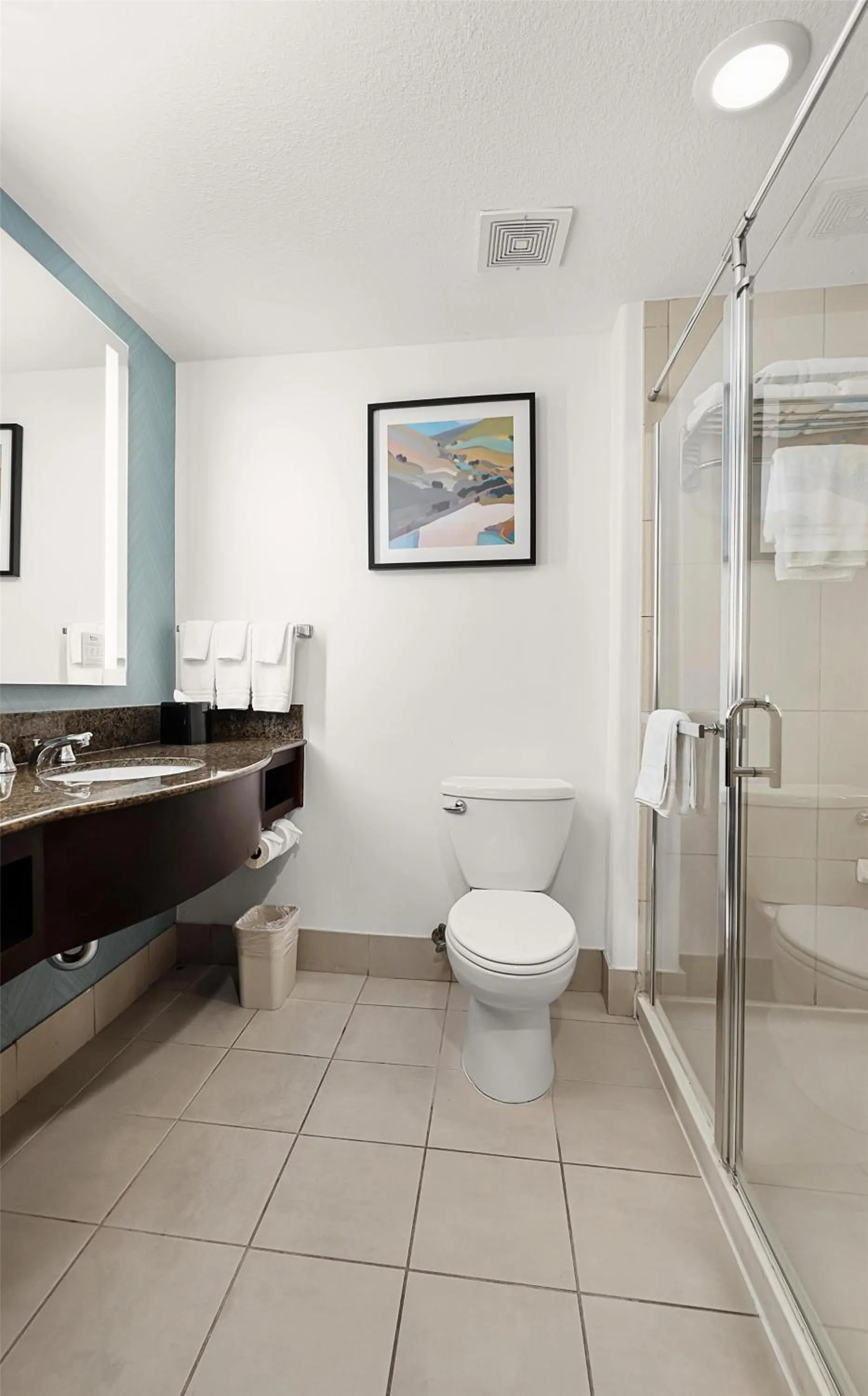 Bathroom in Hilton Garden Inn New Braunfels