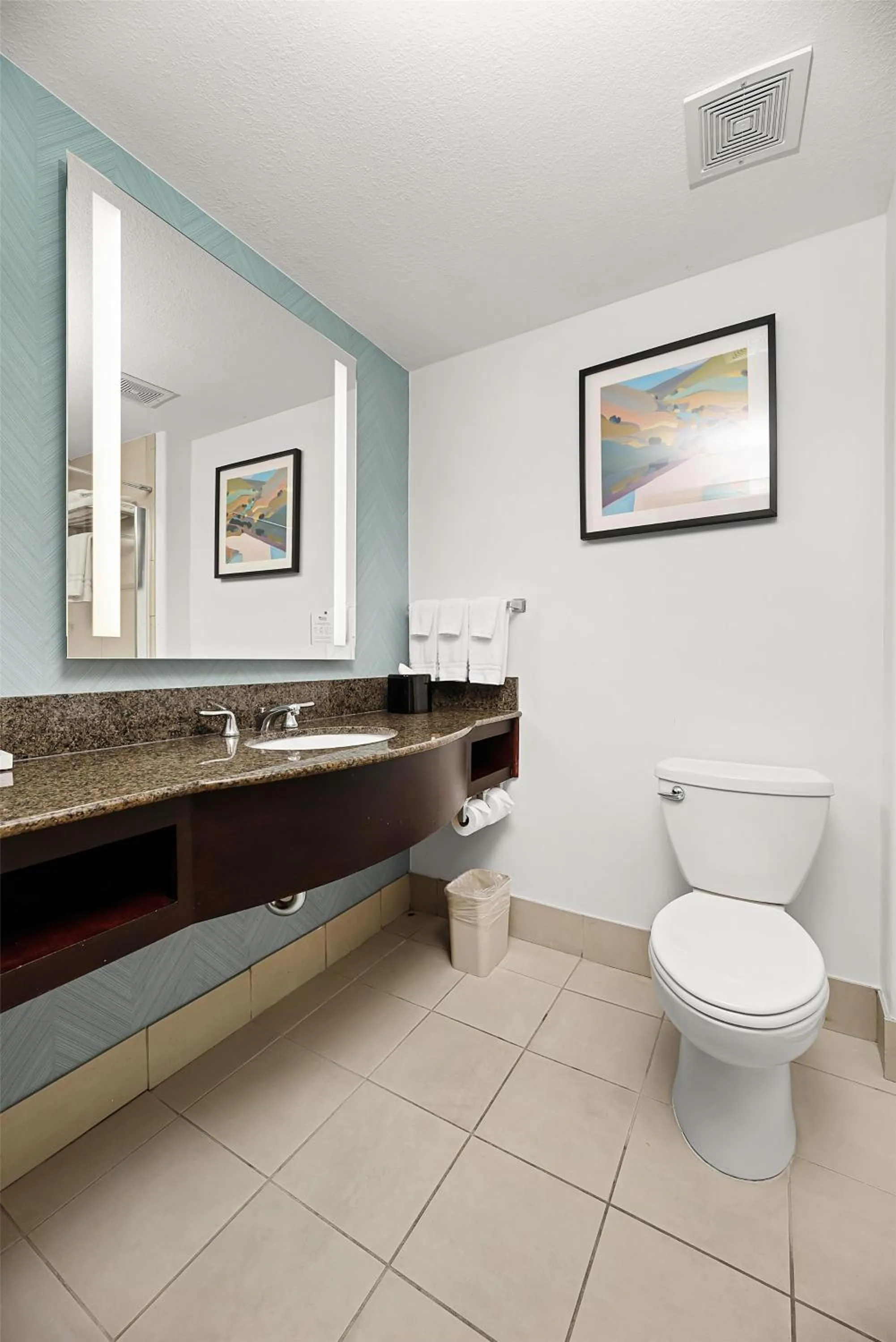 Bathroom in Hilton Garden Inn New Braunfels