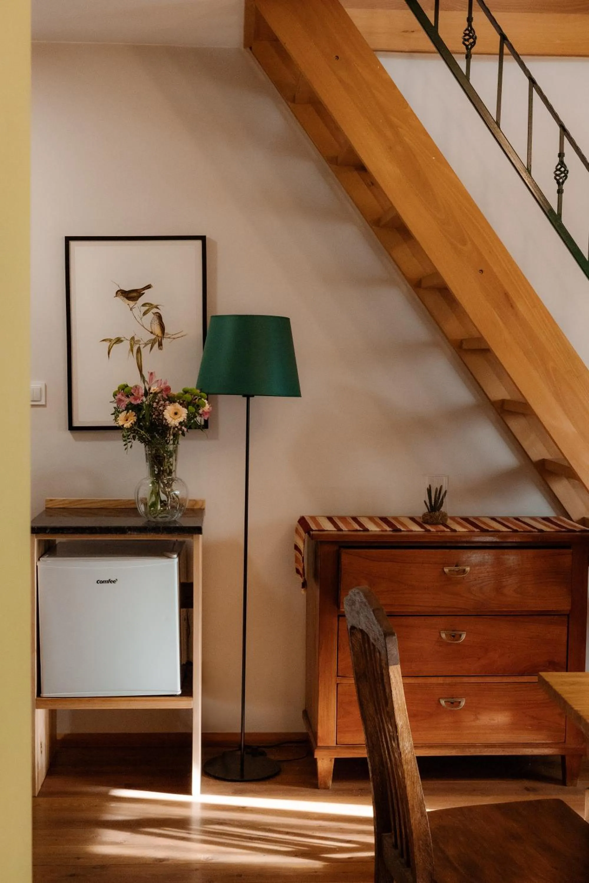 TV and multimedia in Dom Potok