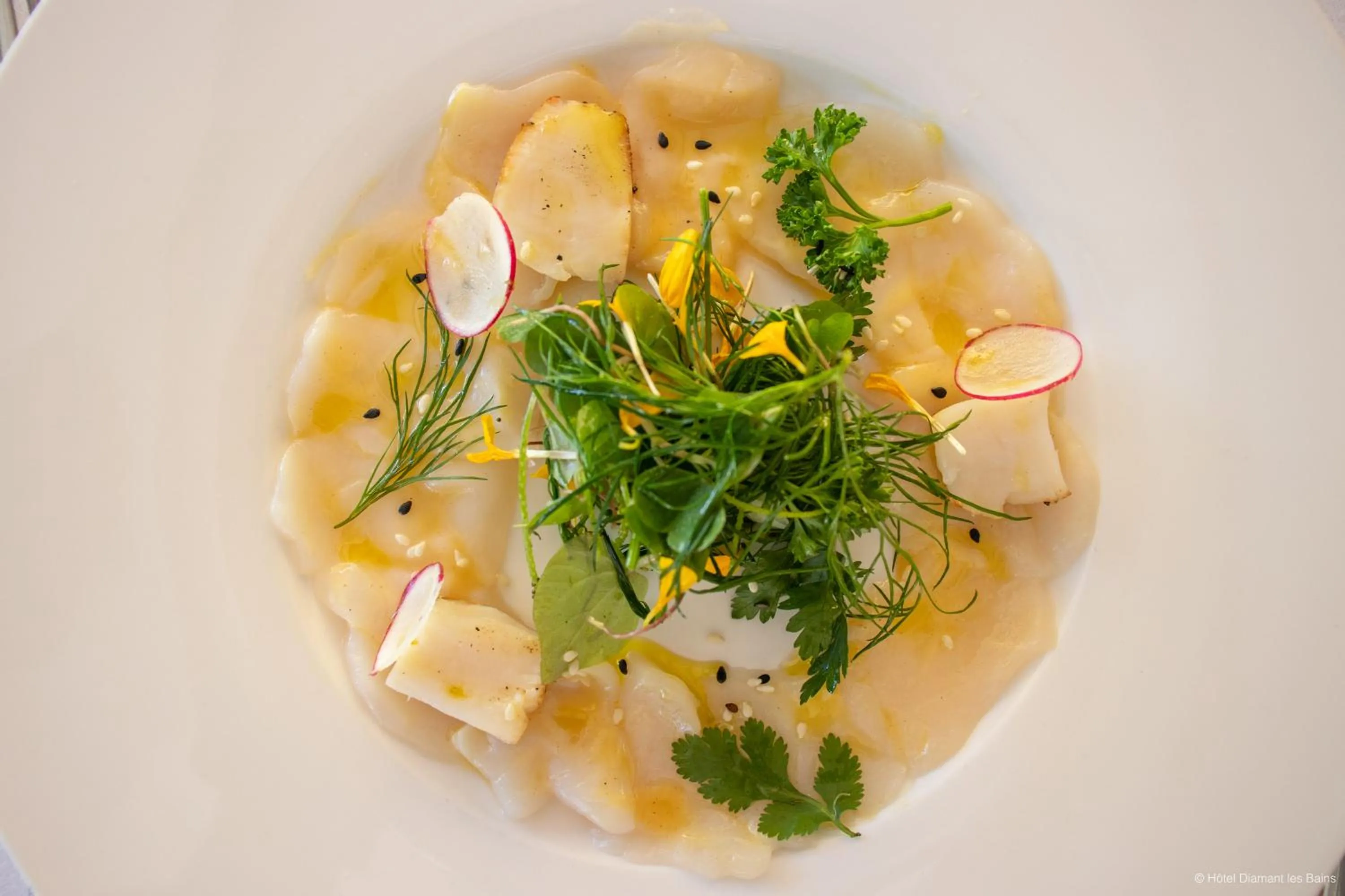 Diamant les bains - Résidence Hôtelière