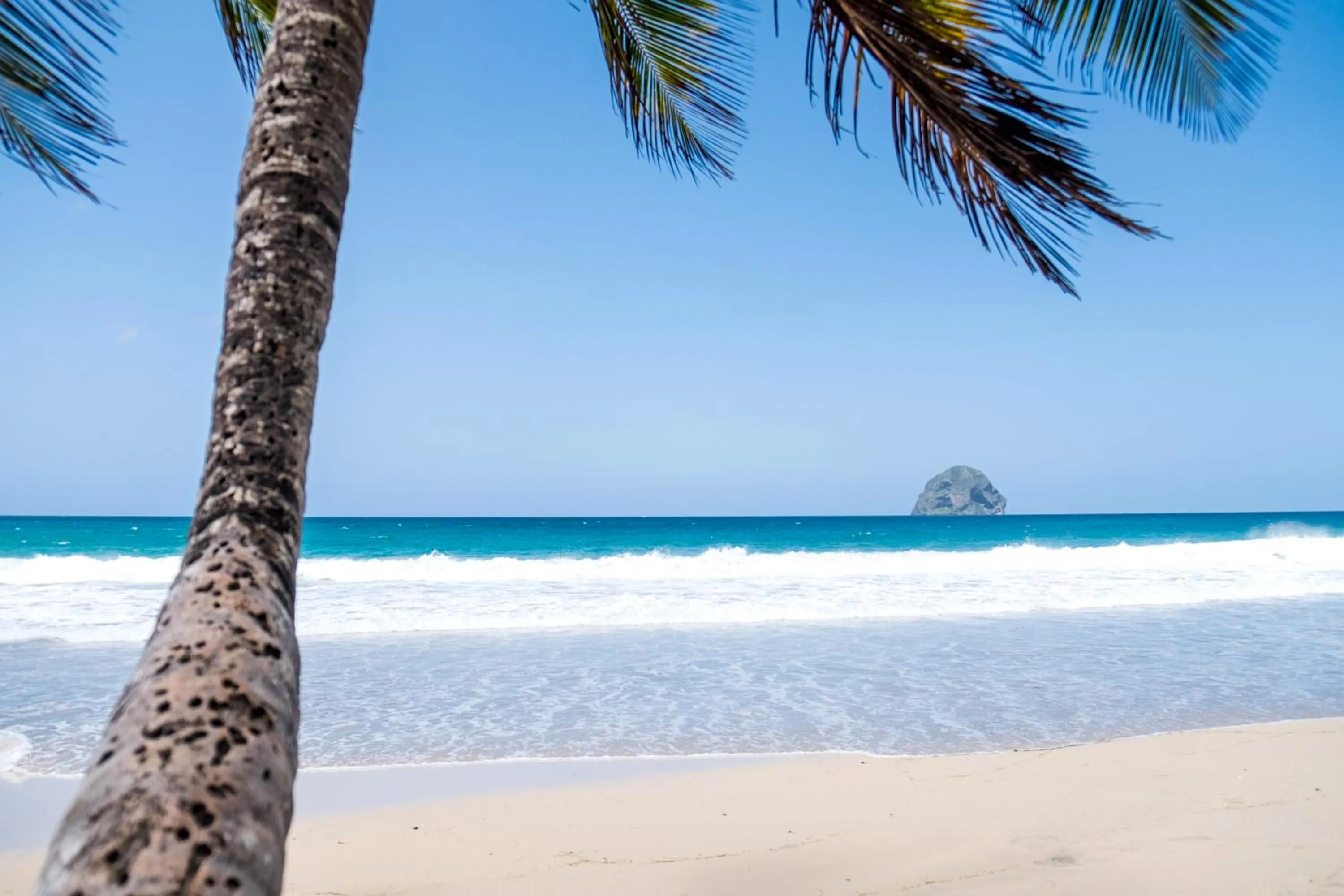 Beach in Diamant les bains - Résidence Hôtelière