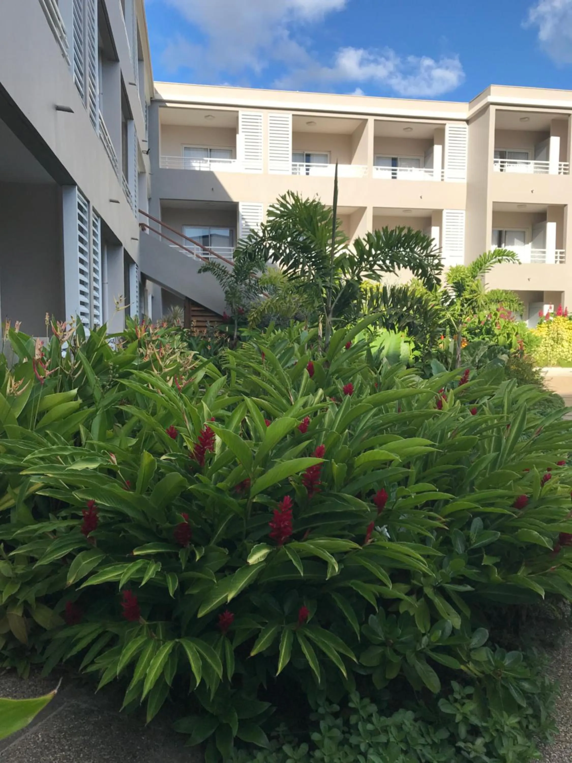 Garden in Diamant les bains - Résidence Hôtelière