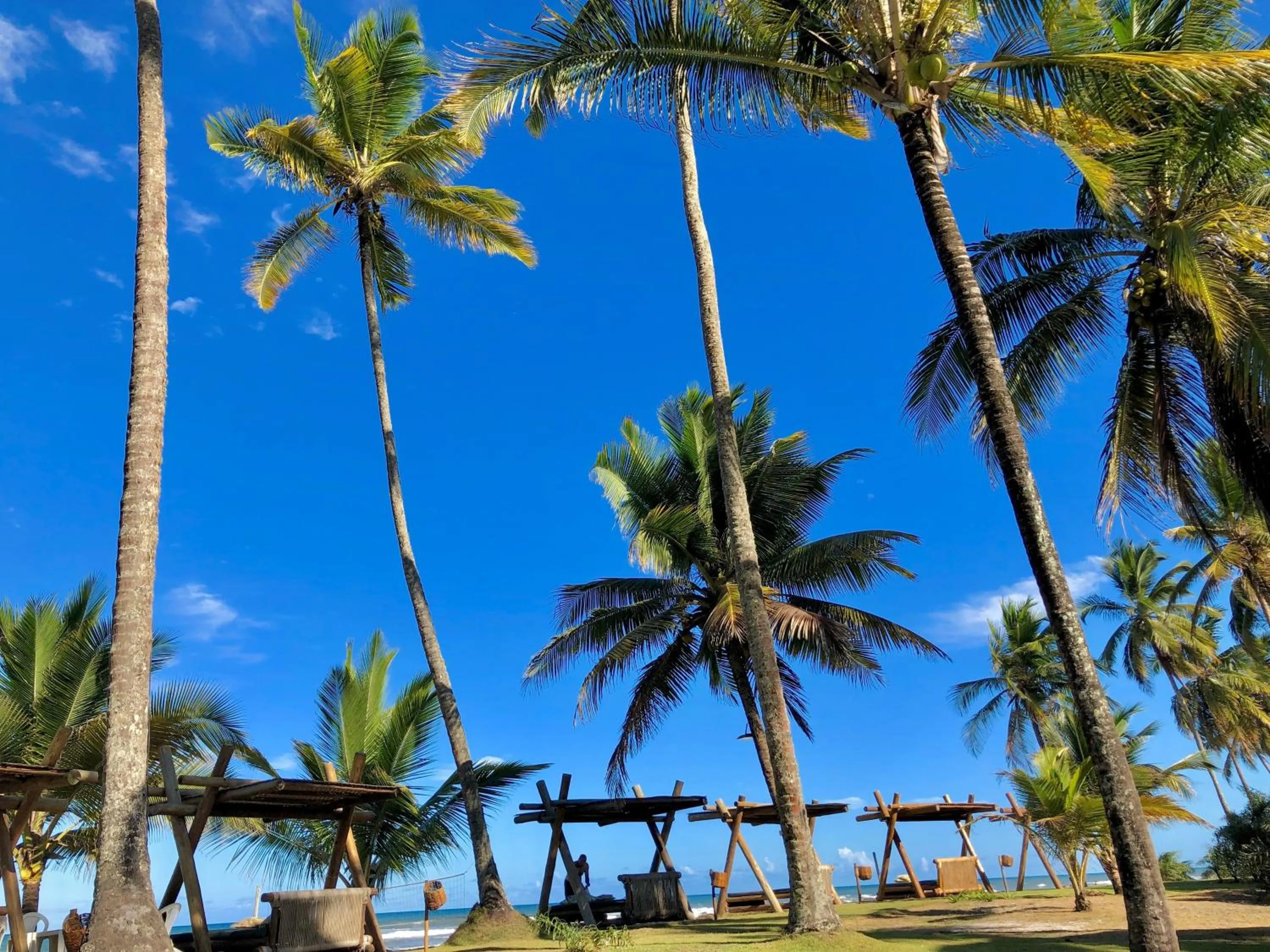 Natural landscape in Resort Tororomba