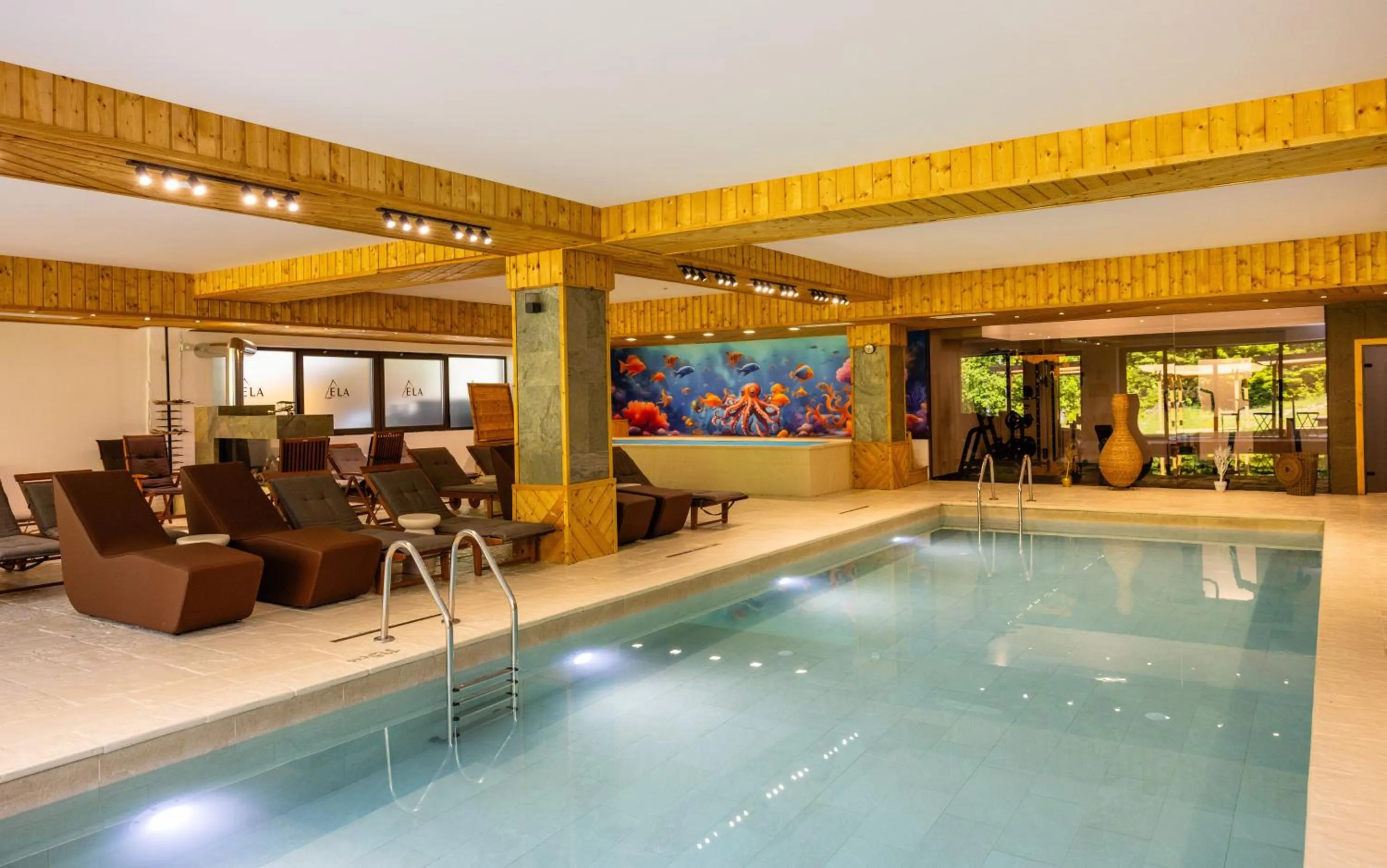 Spa and wellness centre/facilities in Park Hotel Ela