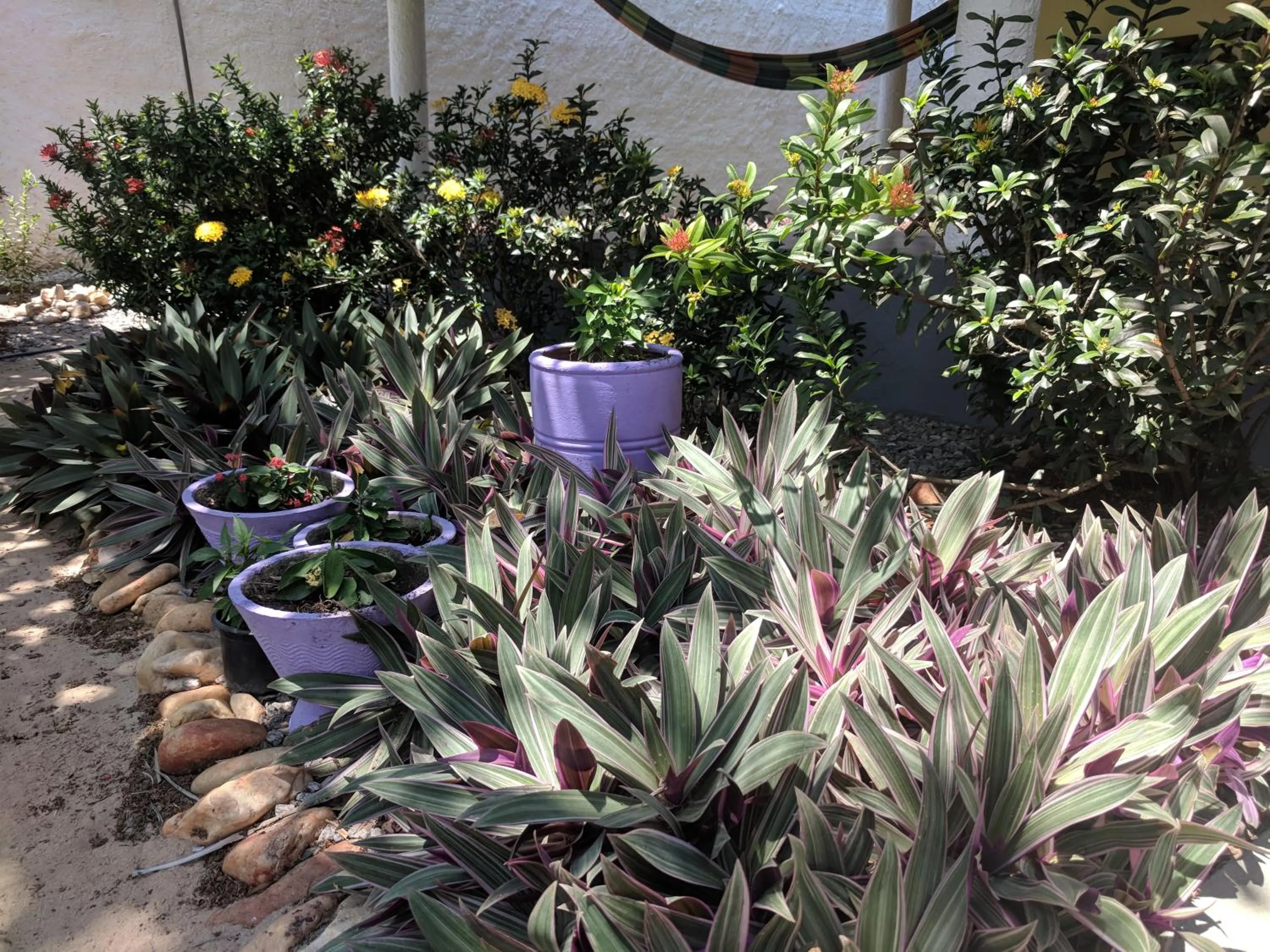 Property building in B&B Chalé Jardins