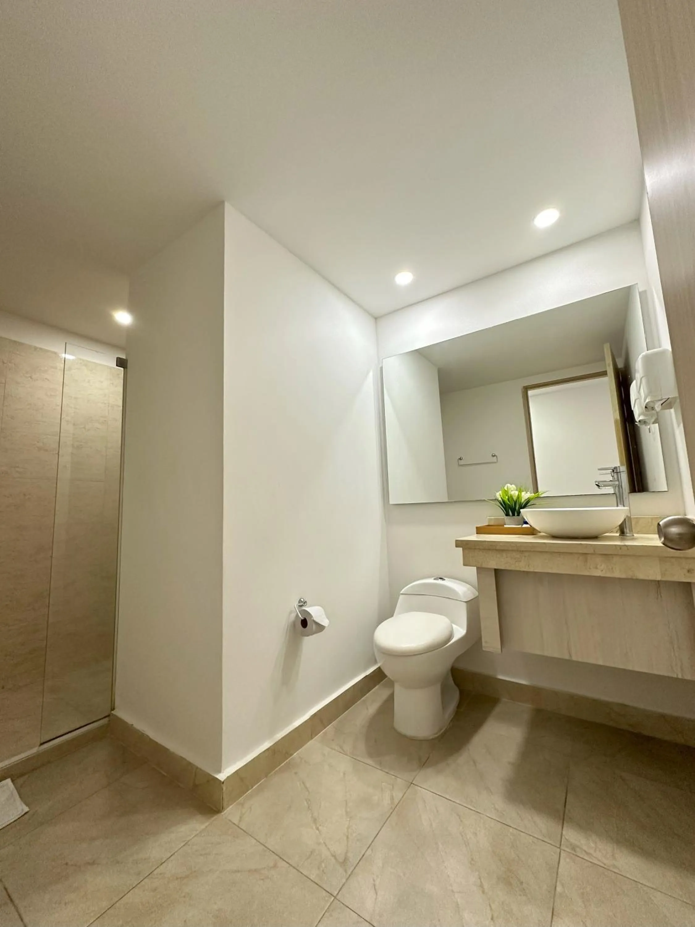 Toilet in Hotel Tayrona del Mar