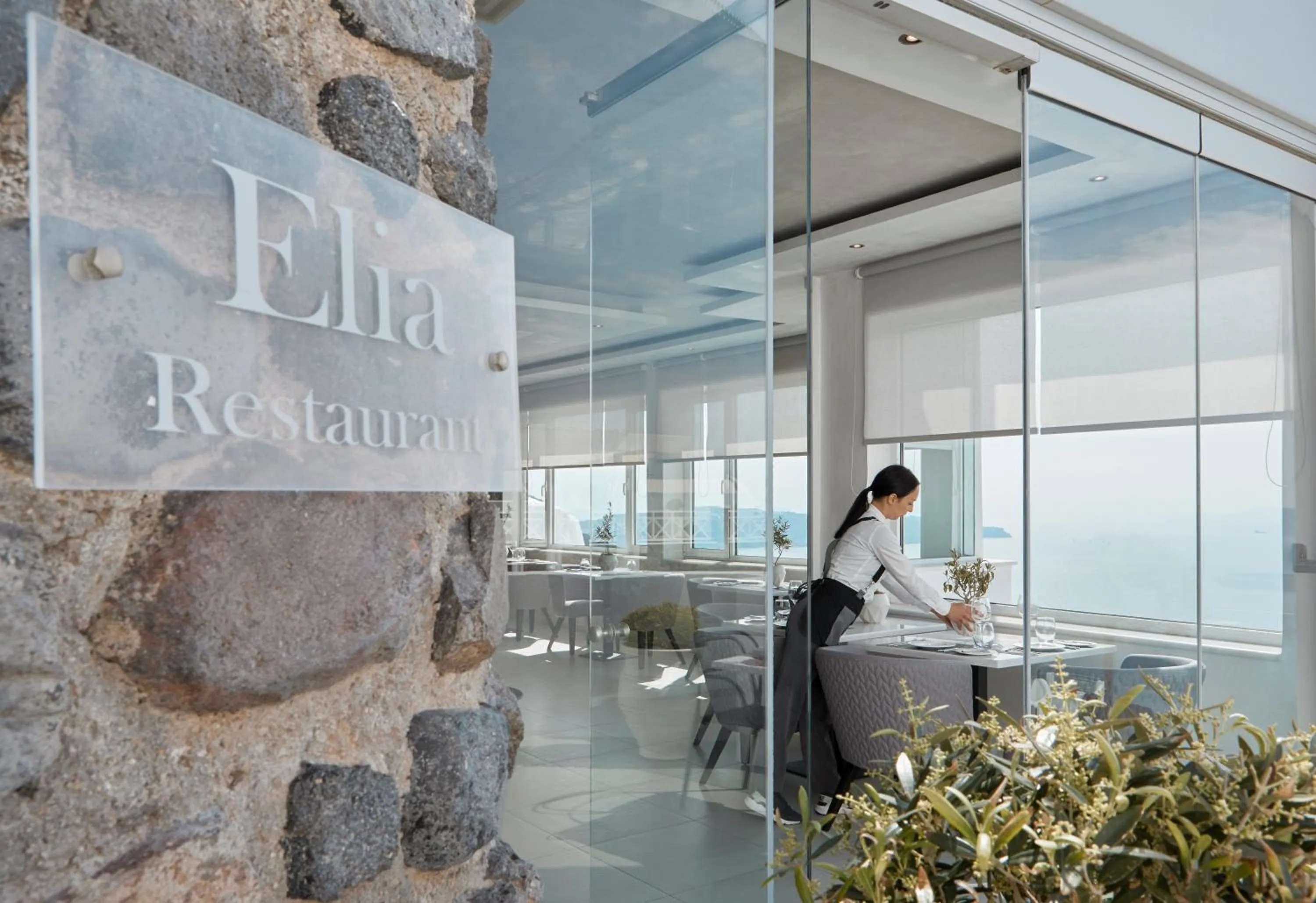 Restaurant/places to eat in Petit Palace Suites