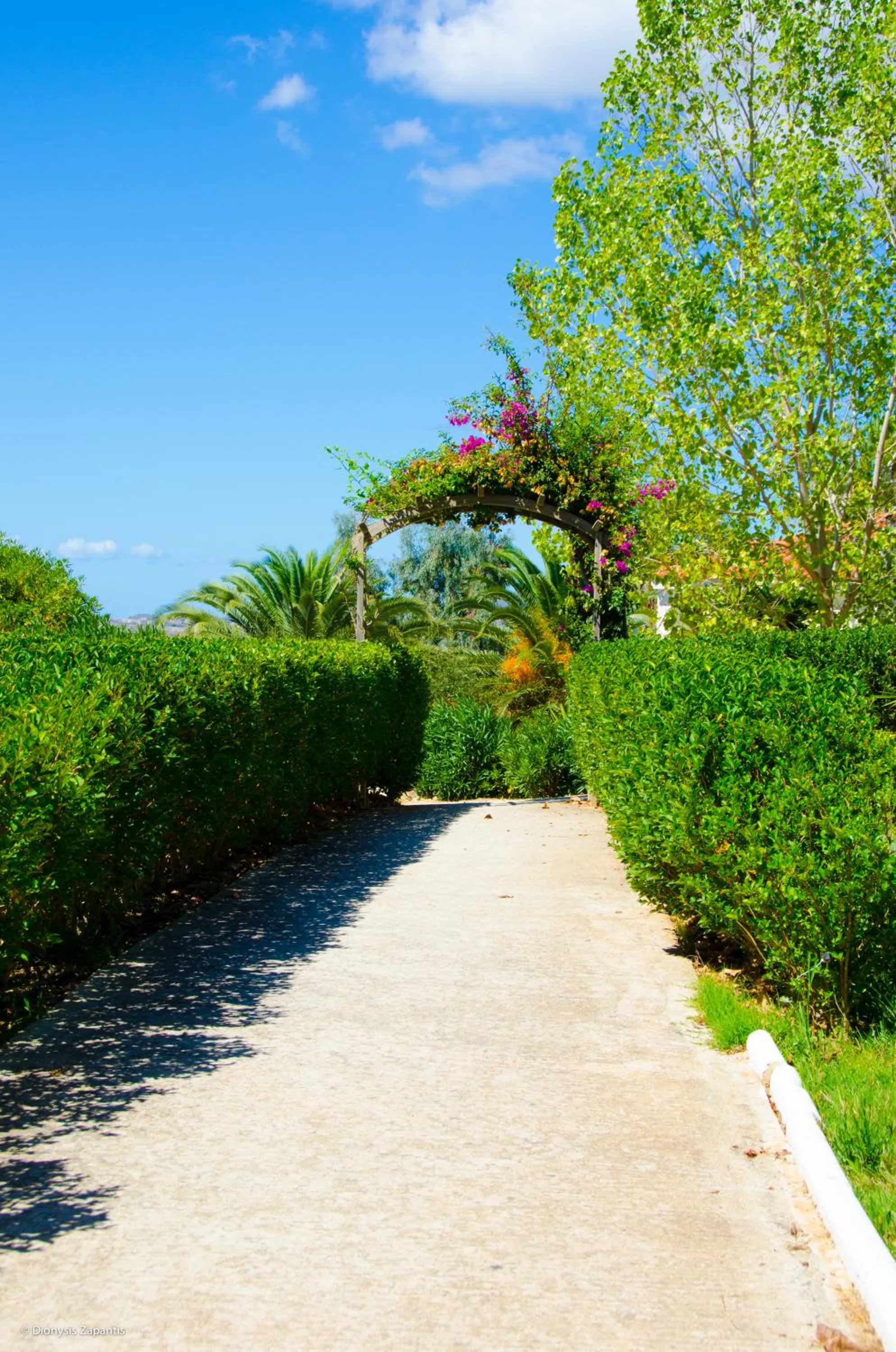 Garden in Liberatos Village